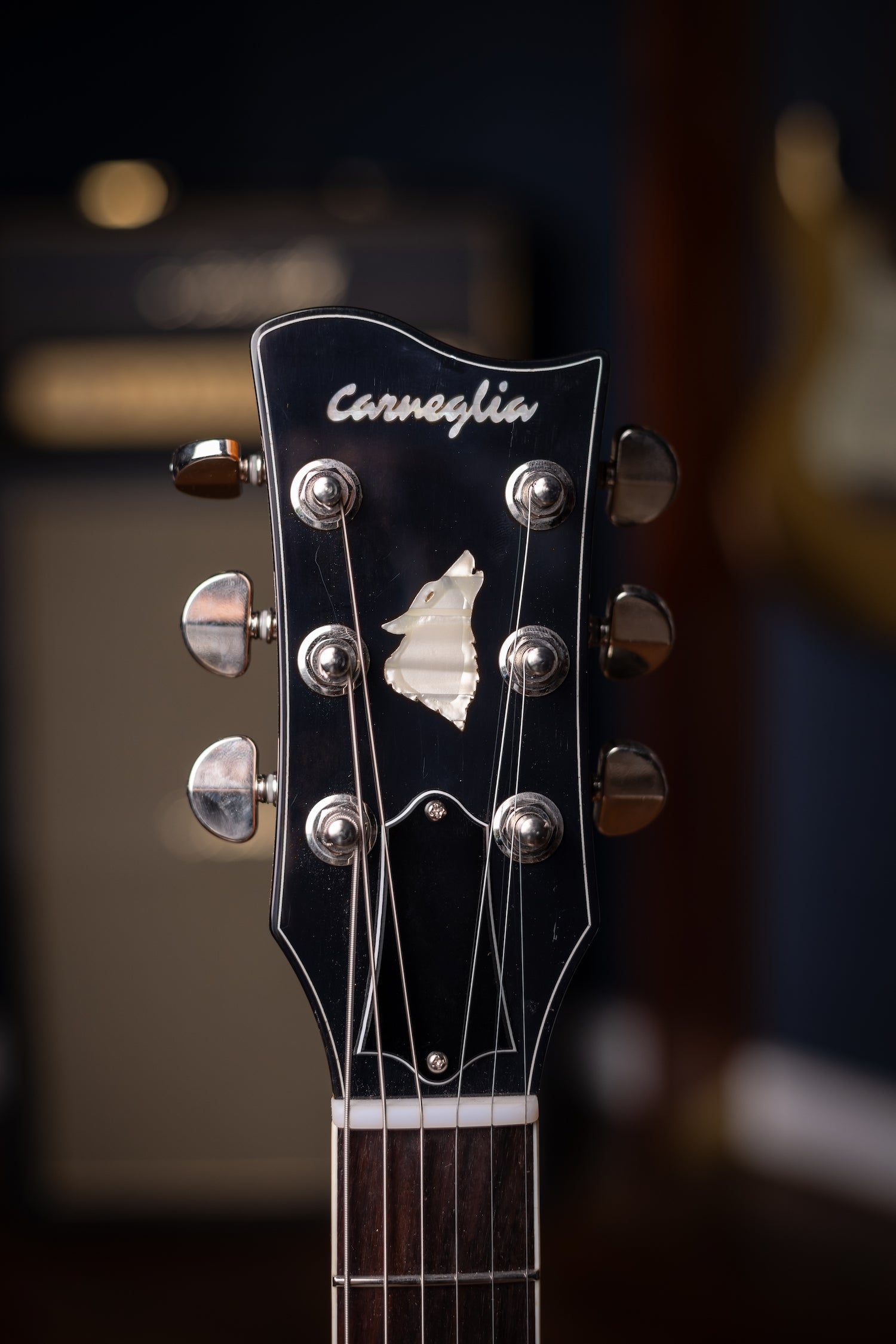 Carneglia Custom Shop Sonora Custom Semi-Hollow Electric Guitar - Sunburst