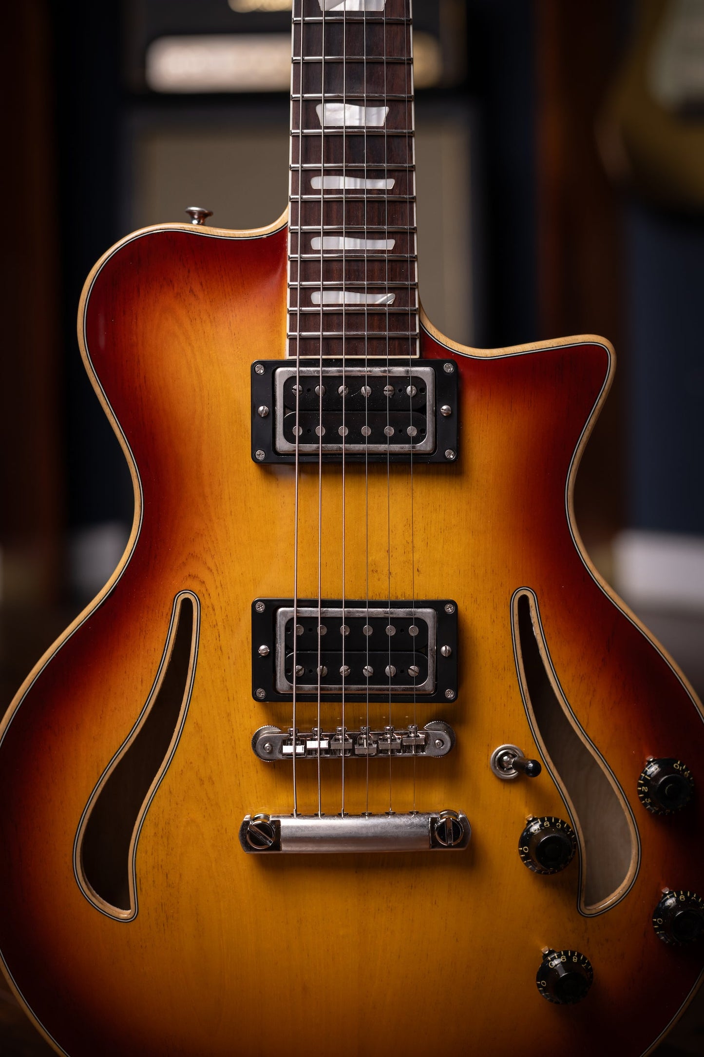 Carneglia Custom Shop Sonora Custom Semi-Hollow Electric Guitar - Sunburst