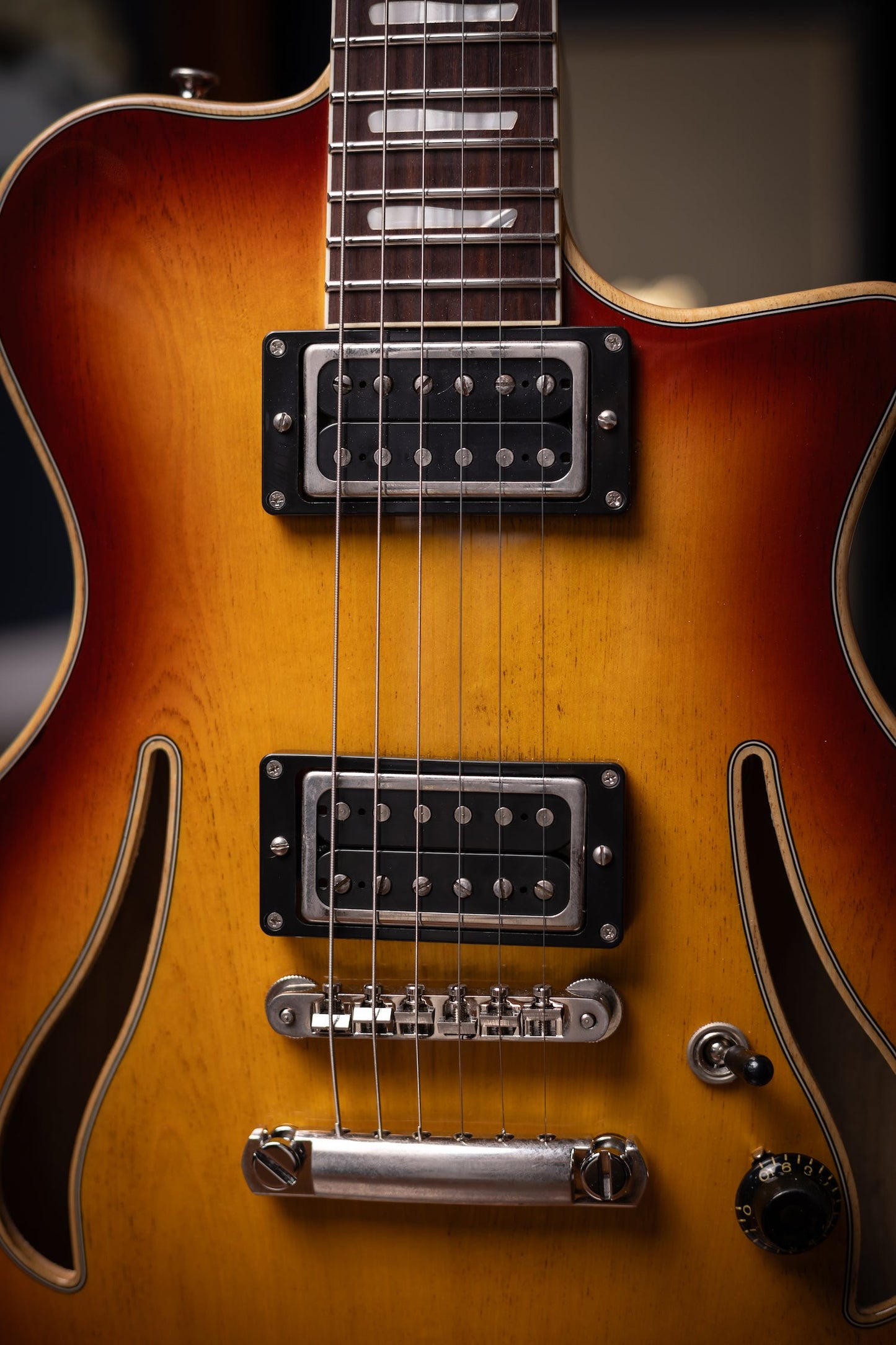 Carneglia Custom Shop Sonora Custom Semi-Hollow Electric Guitar - Sunburst