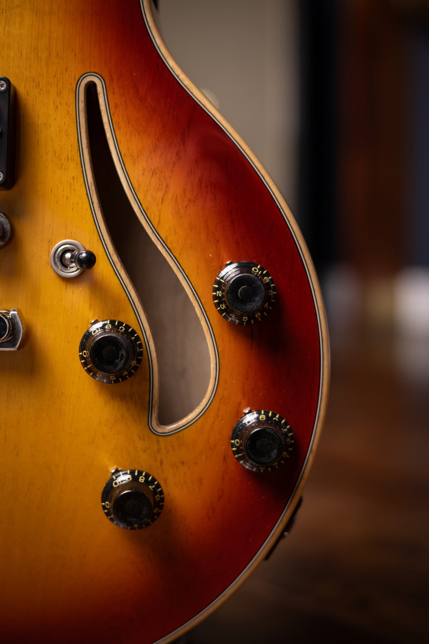 Carneglia Custom Shop Sonora Custom Semi-Hollow Electric Guitar - Sunburst