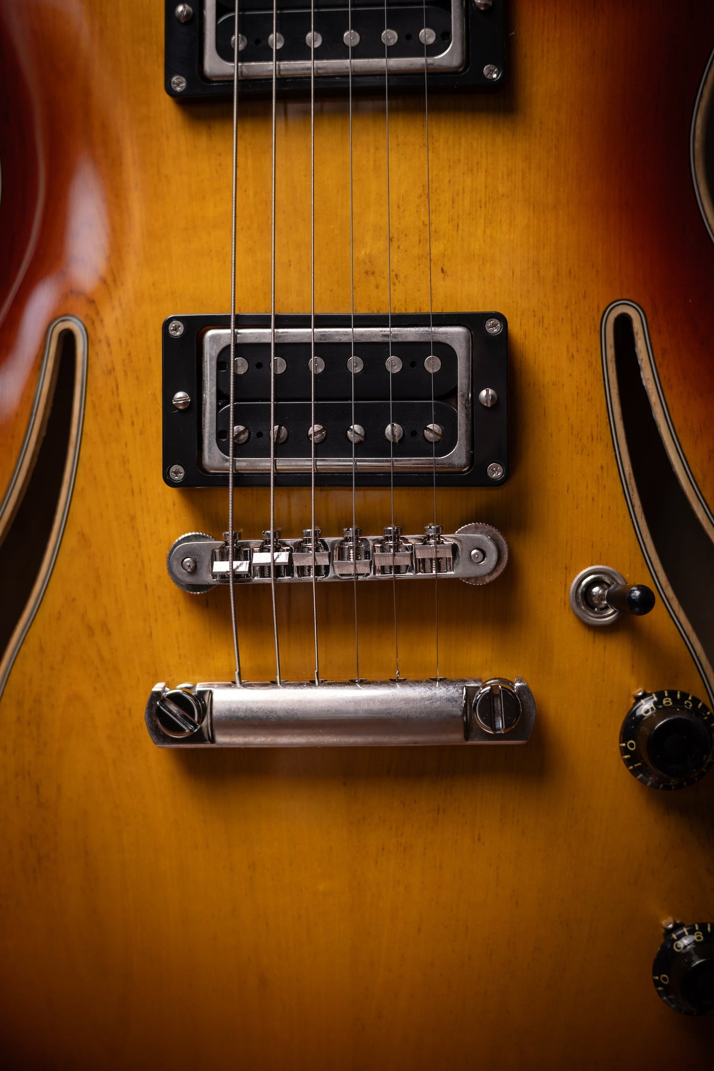 Carneglia Custom Shop Sonora Custom Semi-Hollow Electric Guitar - Sunburst