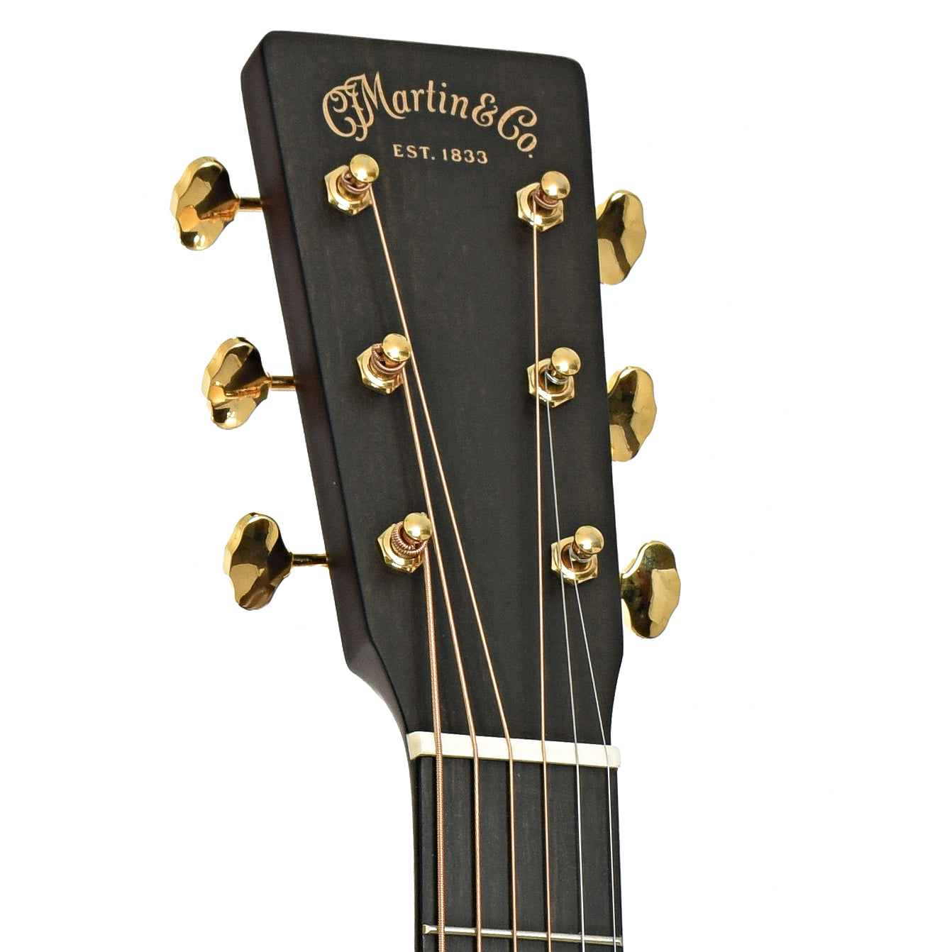 Martin GPE Inception Maple Acoustic Guitar & Case