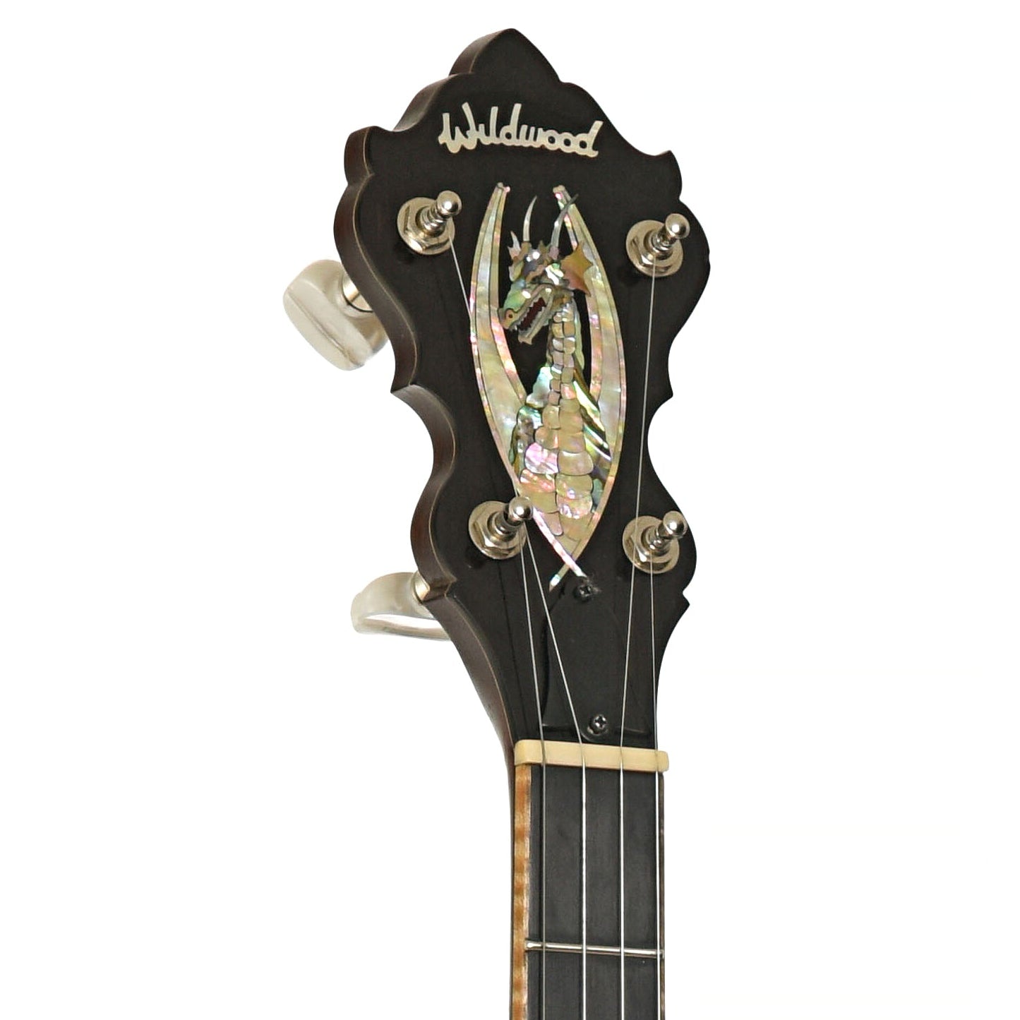 Wildwood Brazilian Custom Dragon Open Back Banjo (2004)