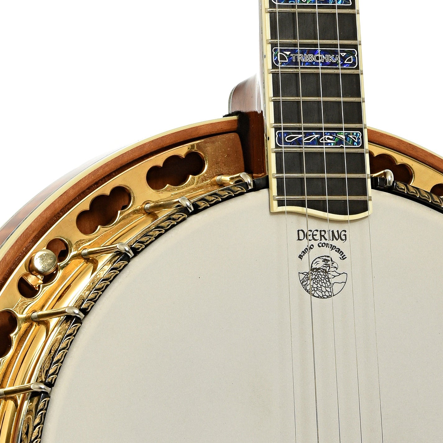 Deering Tony Trischka Golden Clipper Resonator Banjo (2018)