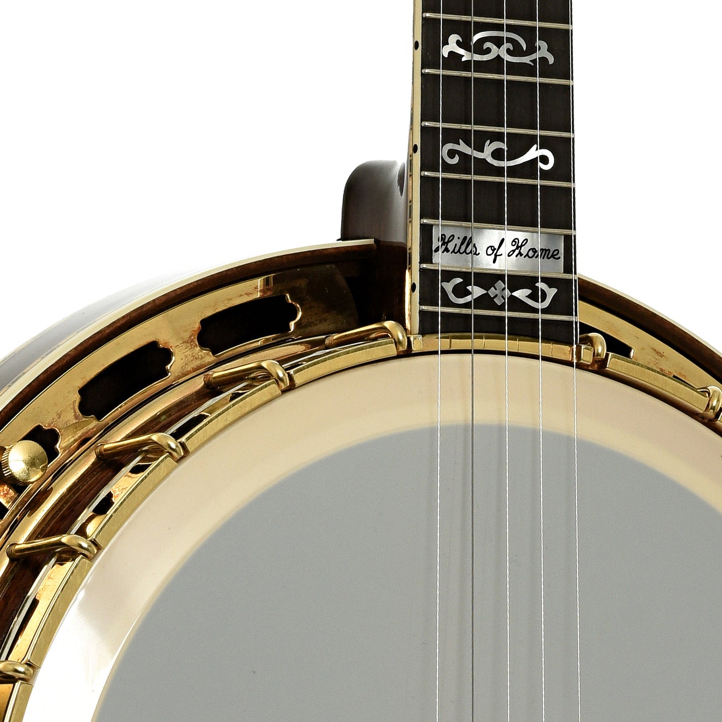Frank Neat Stanleytone Hills of Home Resonator Banjo (2006)