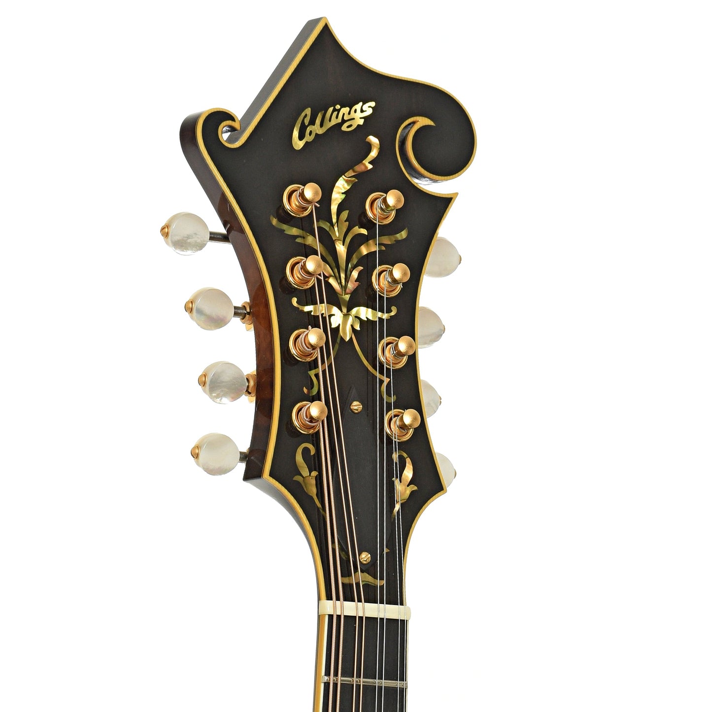 Collings MF-5 Varnish Mandolin (2017)