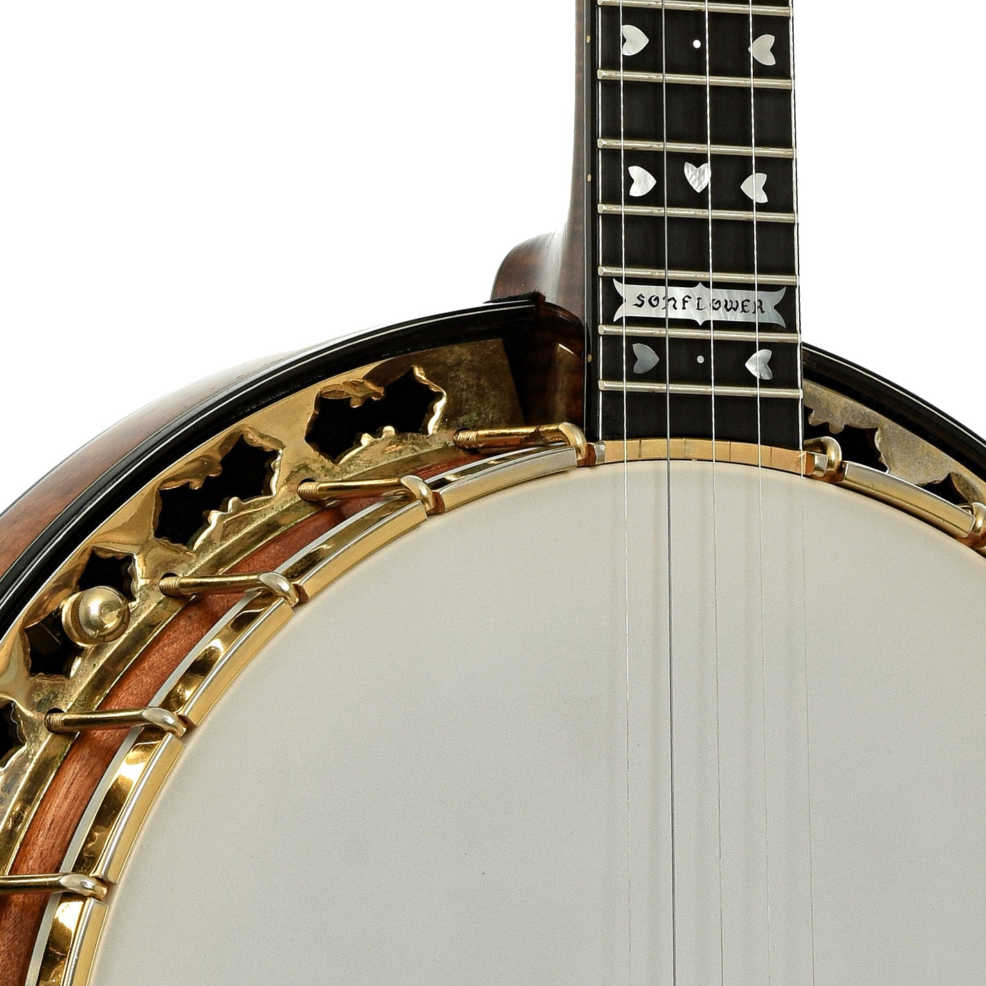 Stelling Sonny Osborne Sonflower Prototype Resonator Banjo (1979)