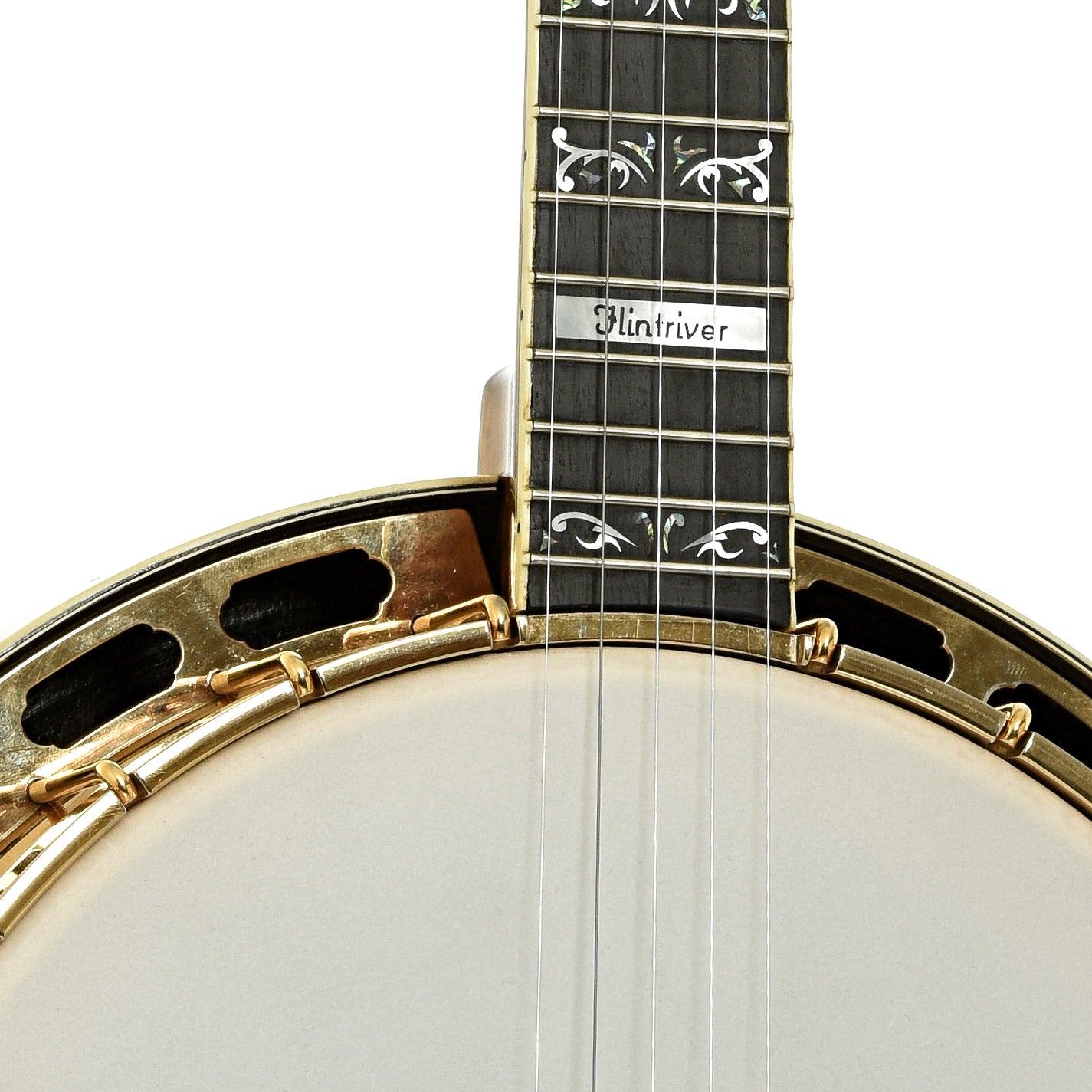 Grundy Flintriver "Blue Heeler" Custom Resonator Banjo (2010)