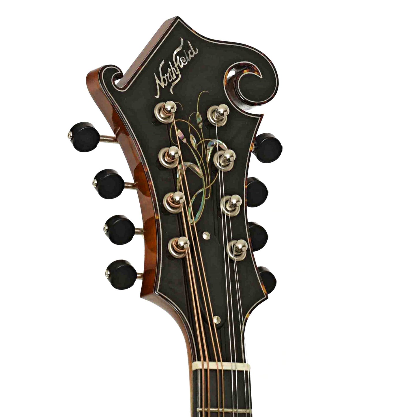 Northfield Artist Series Limited Edition F-Style Mandolin & Case, Italian Spruce