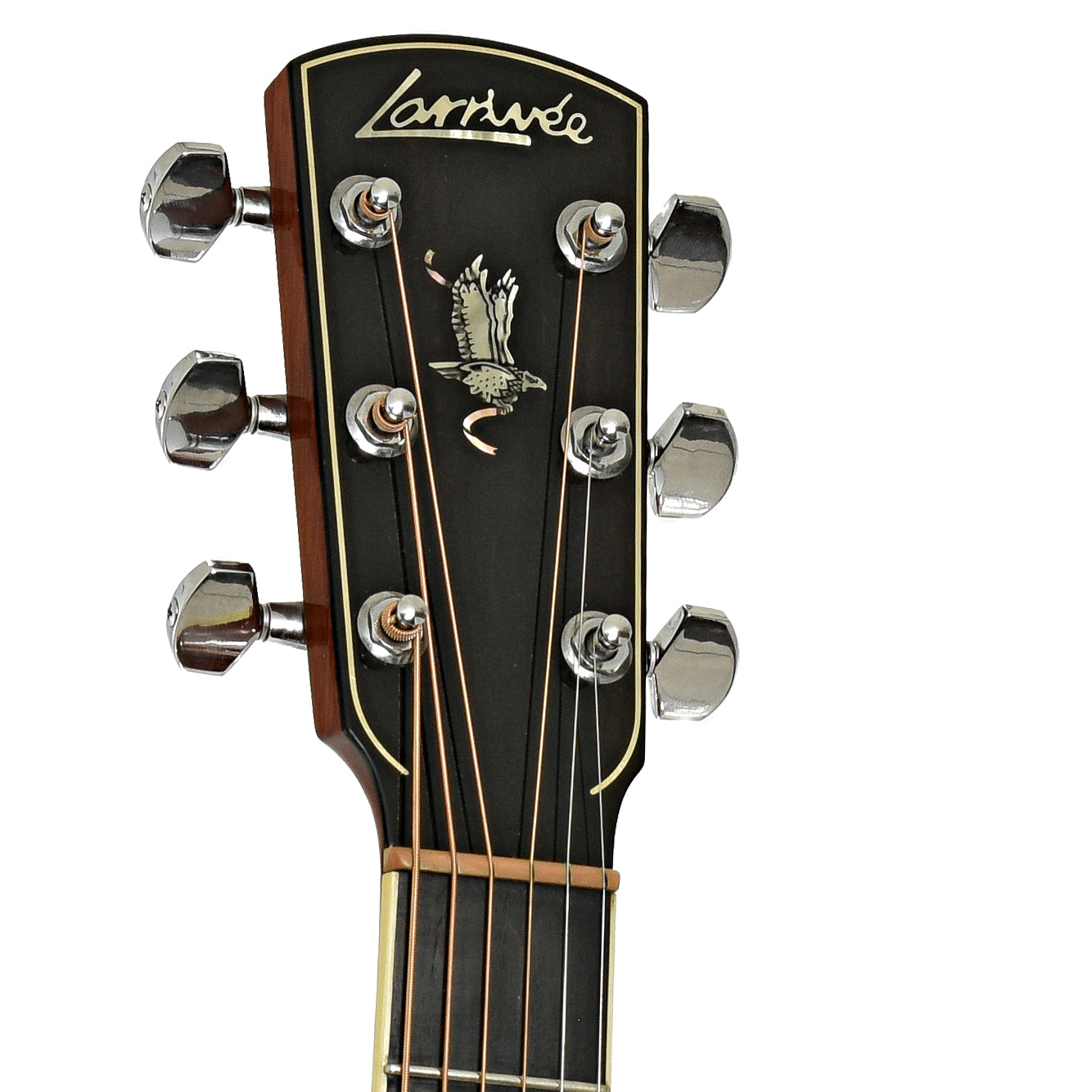 Larrivee D-09 Brazilian Acoustic Guitar (1998)