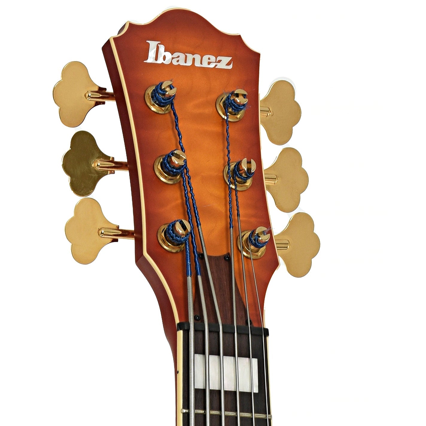 Ibanez TCB1006 Stephen "Thundercat" Bruner 6-String Hollowbody Electric Bass (2022)
