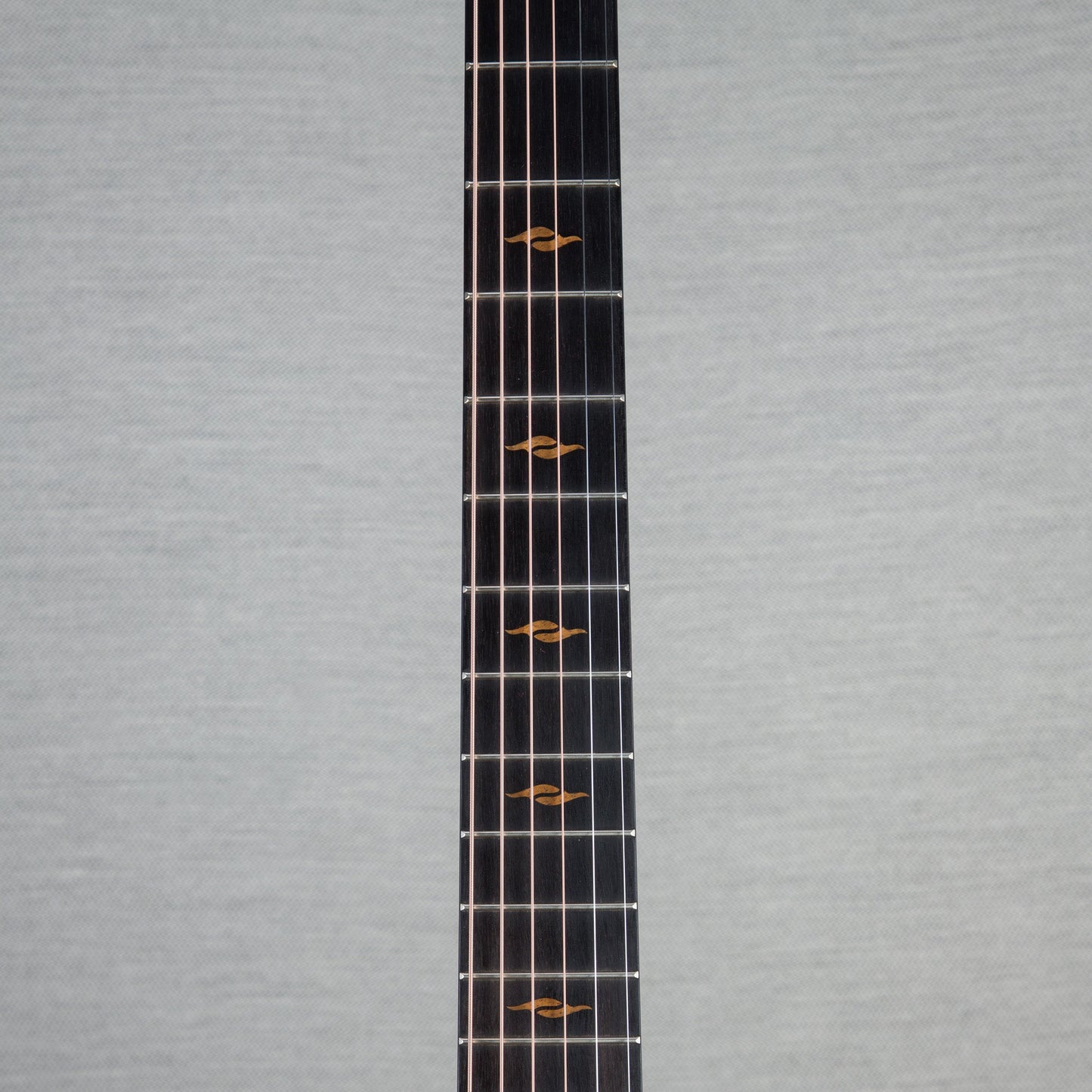 Taylor Limited Edition C14CE Acoustic Electric Guitar - #1205243124