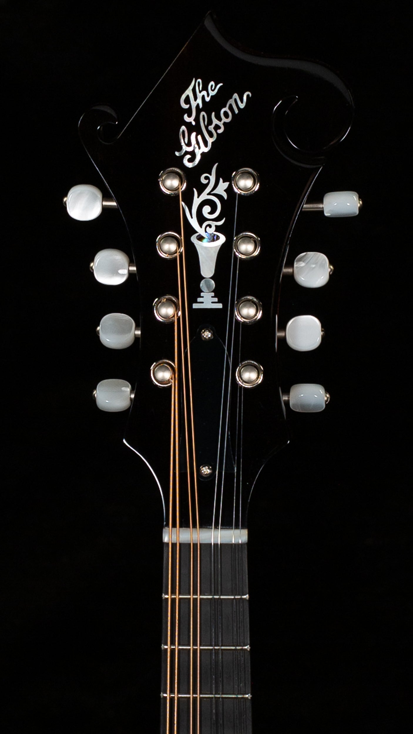 Gibson Mandolin F-5G Dark Burst (012)