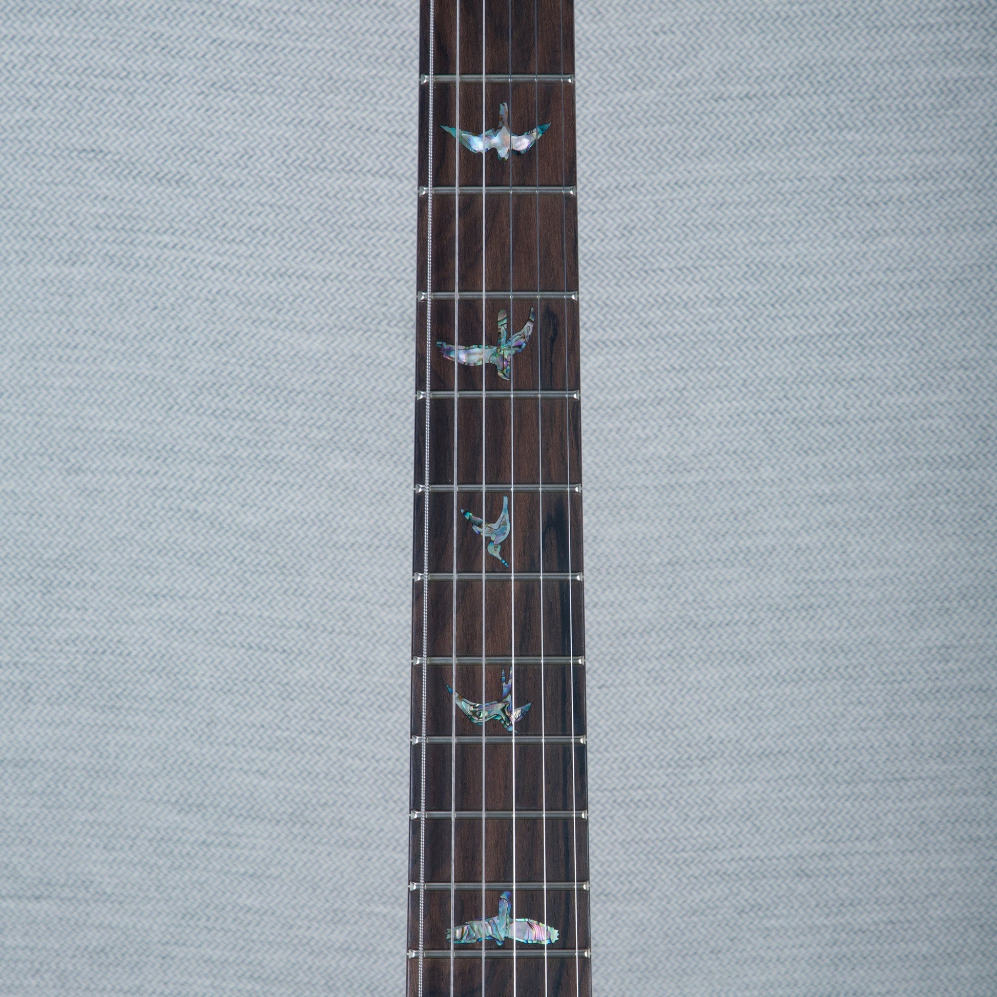 PRS Wood Library DGT Electric Guitar - Private Stock Salmon Finish - CHUCKSCLUSIVE - #240385593 - 2024