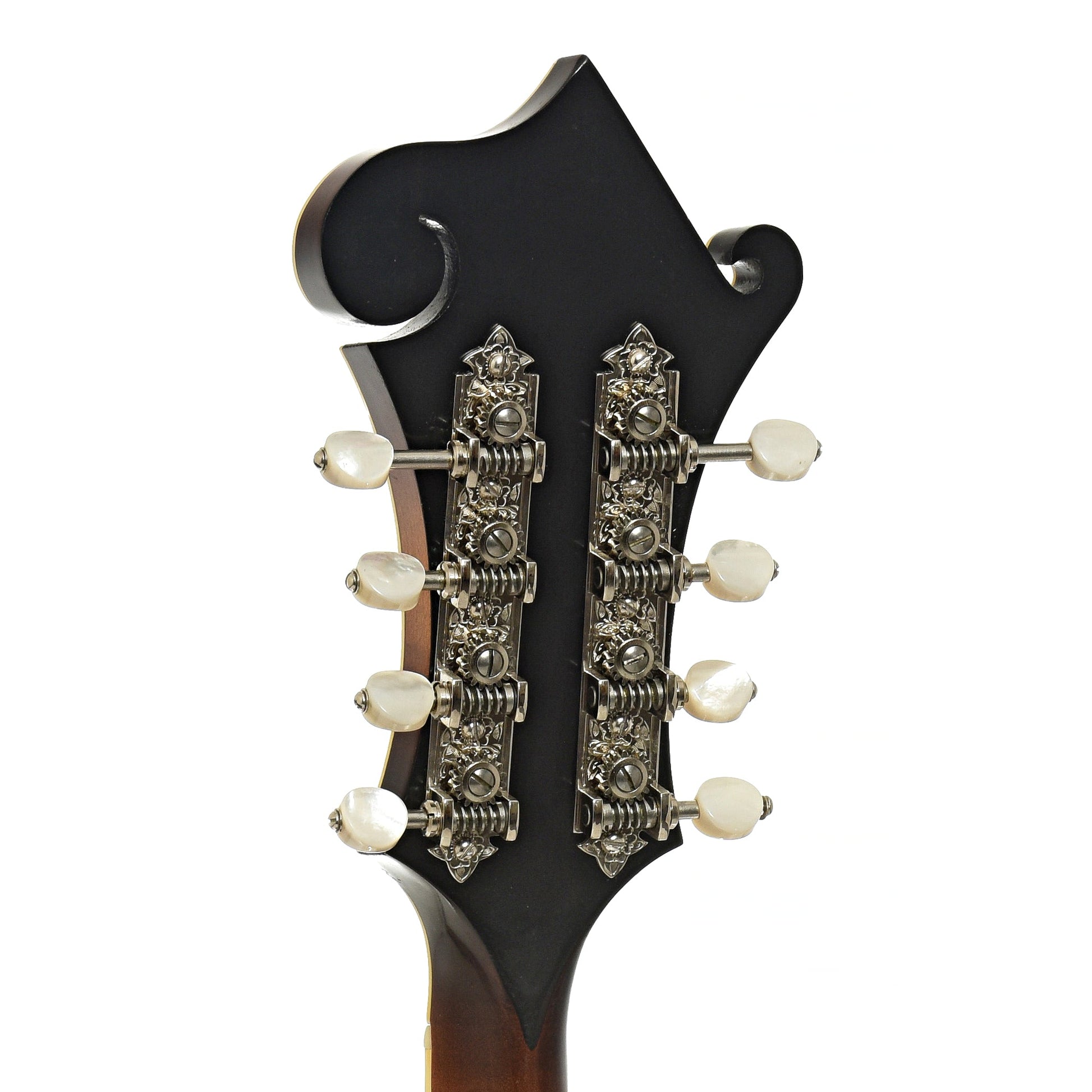 Dudenbostel F-5 Mandolin (2015)