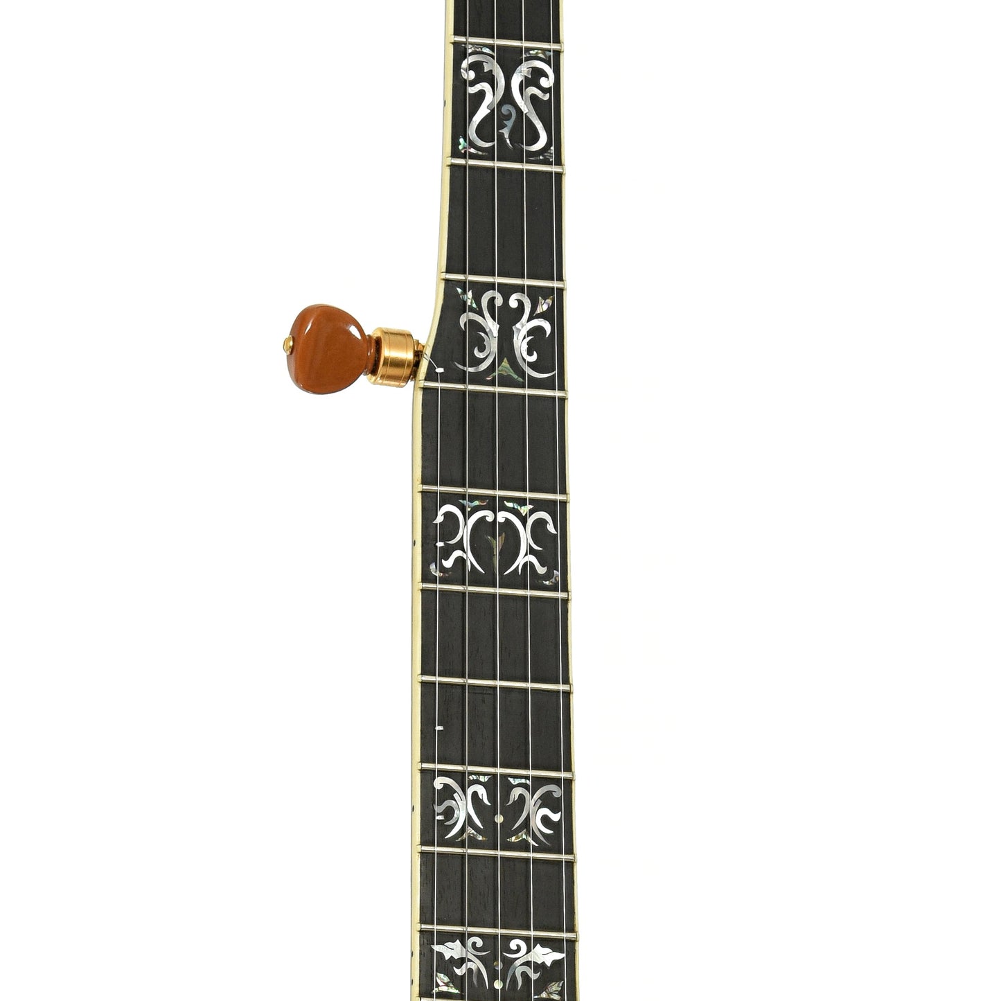 Grundy Flintriver "Blue Heeler" Custom Resonator Banjo (2010)