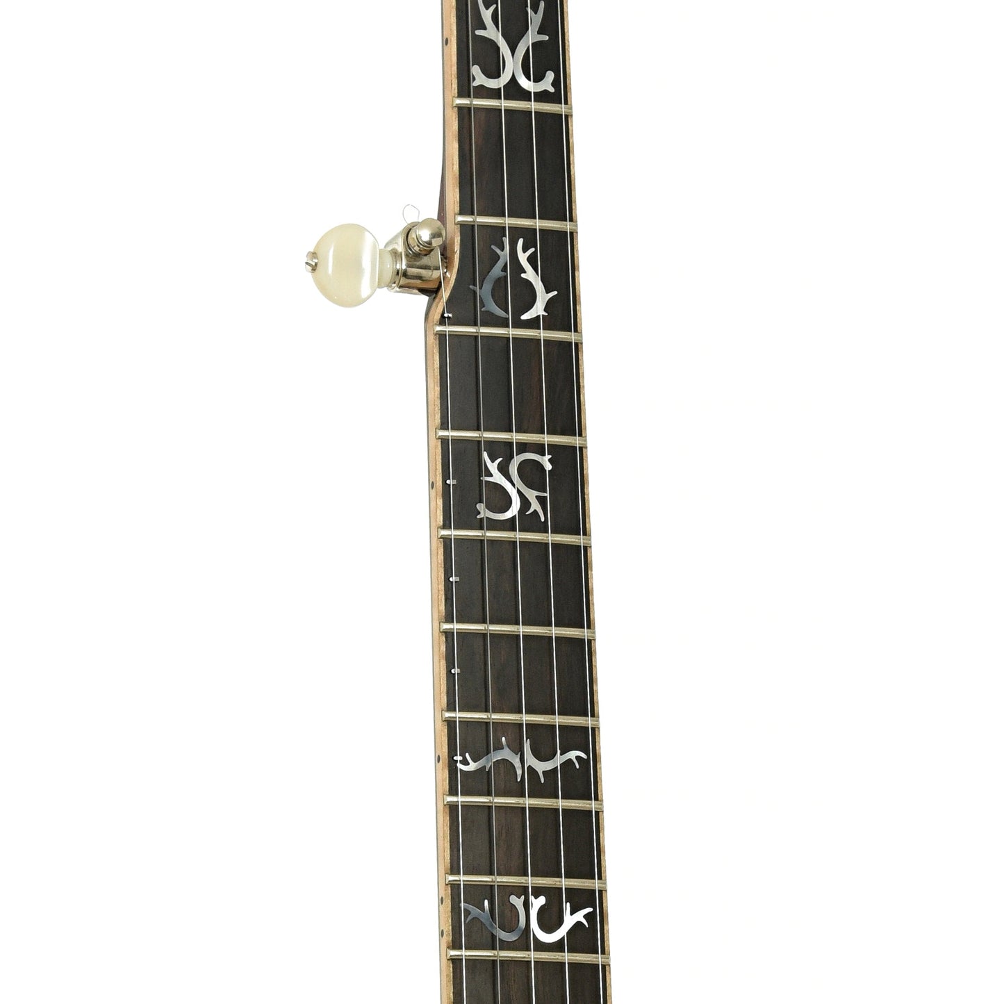 Nechville Orion Resonator Banjo (2021)