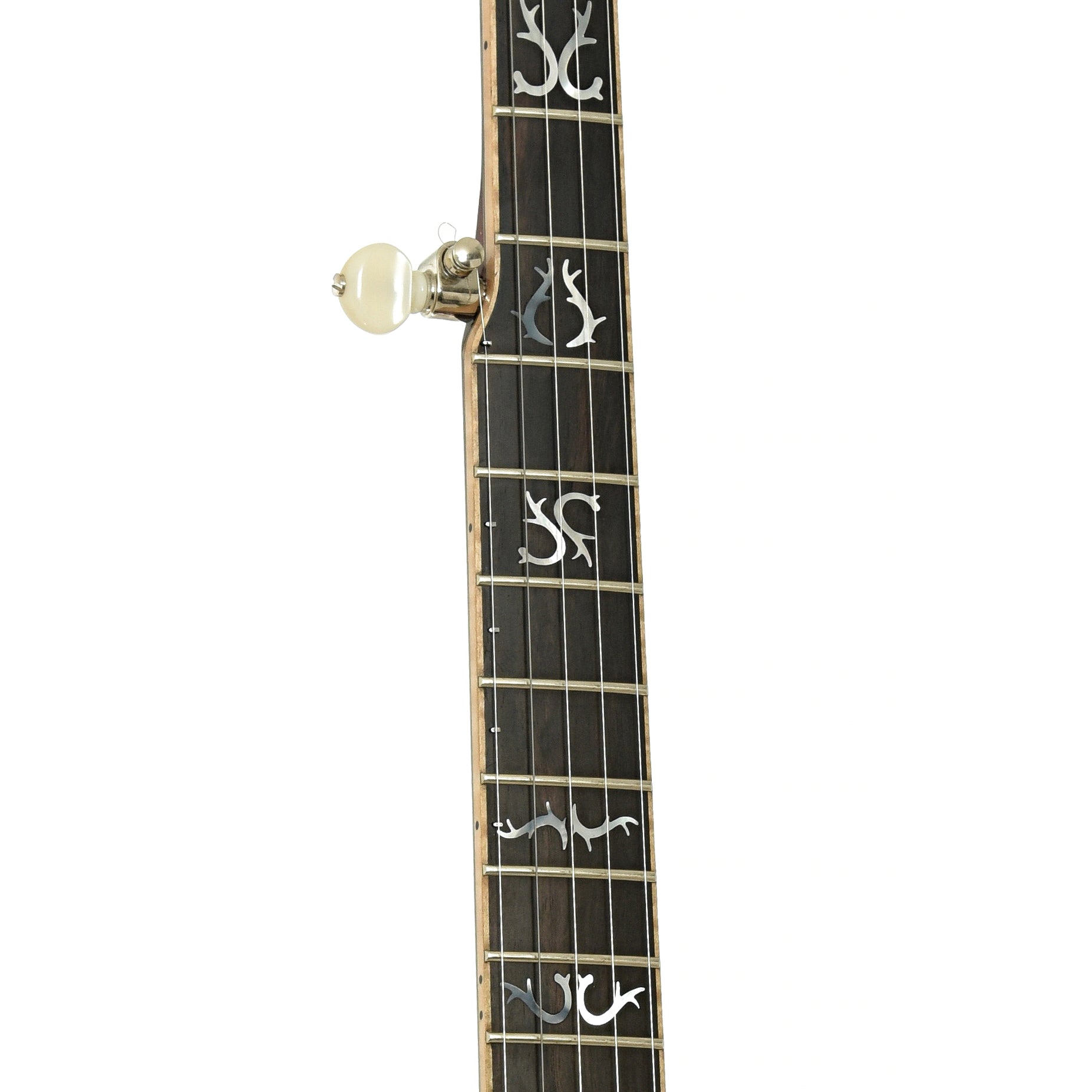 Nechville Orion Resonator Banjo (2021)