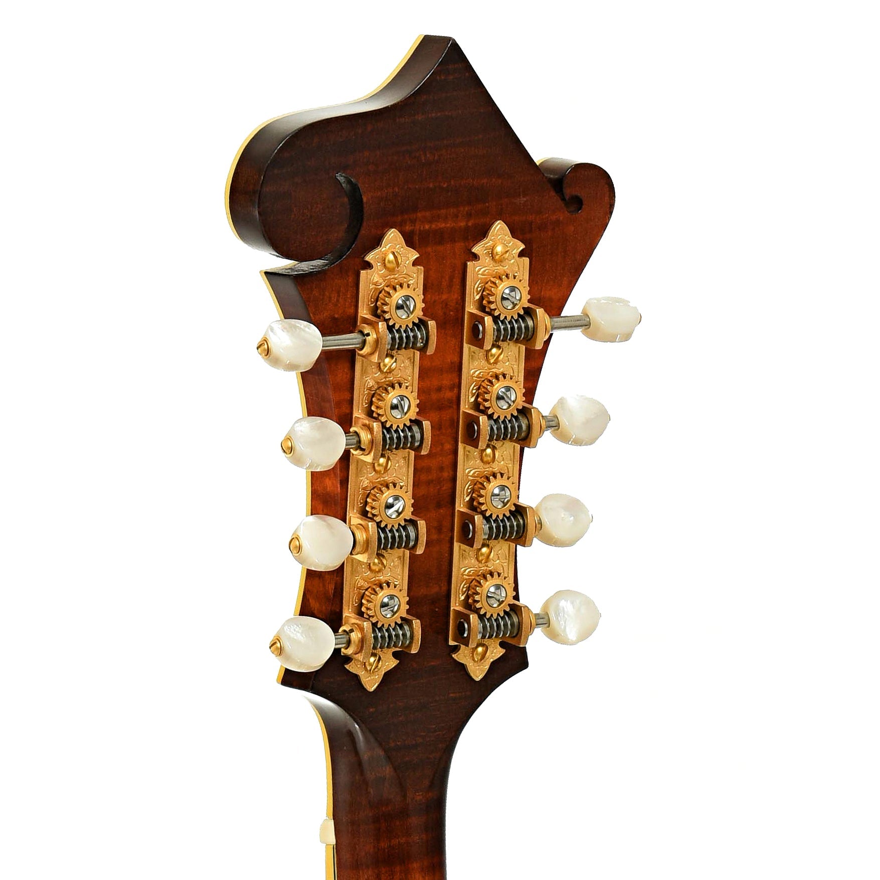 Clark F-5 Mandolin (2018)