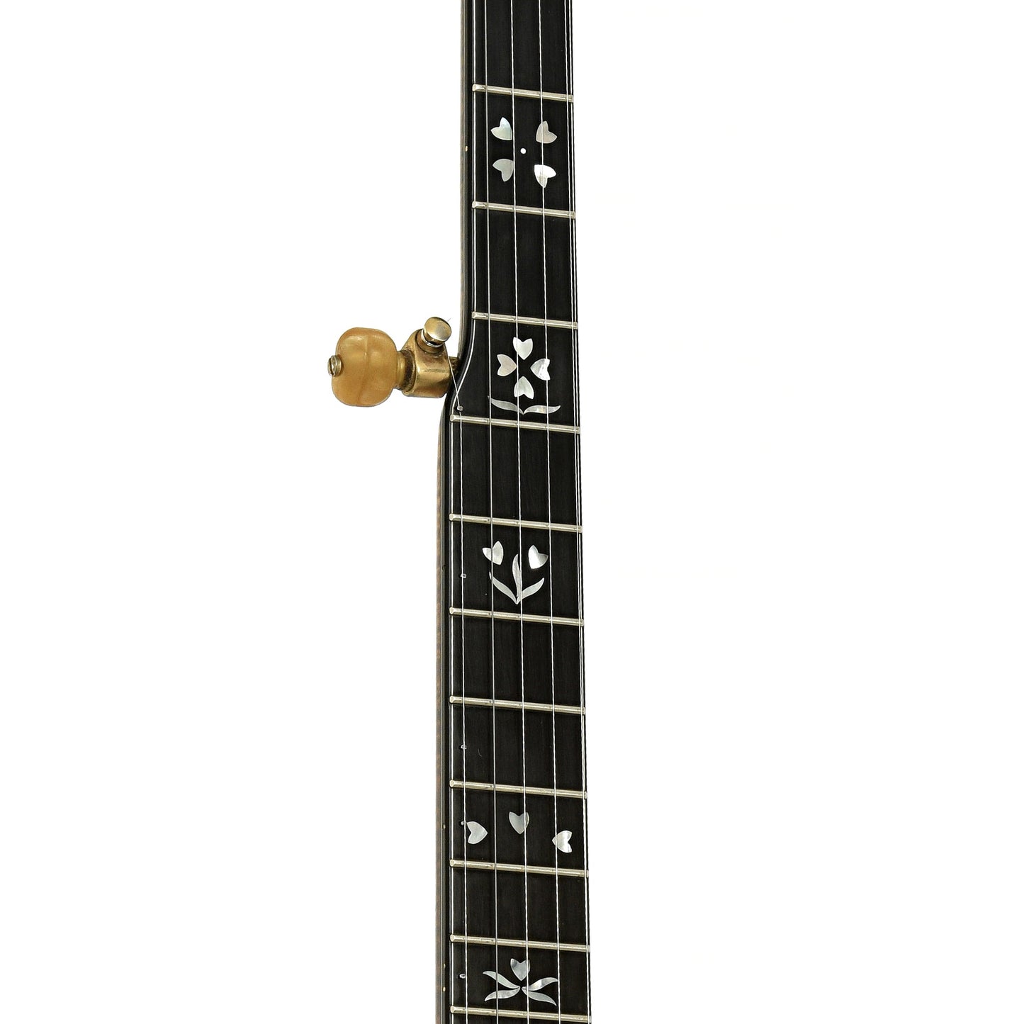 Stelling Sonny Osborne Sonflower Prototype Resonator Banjo (1979)