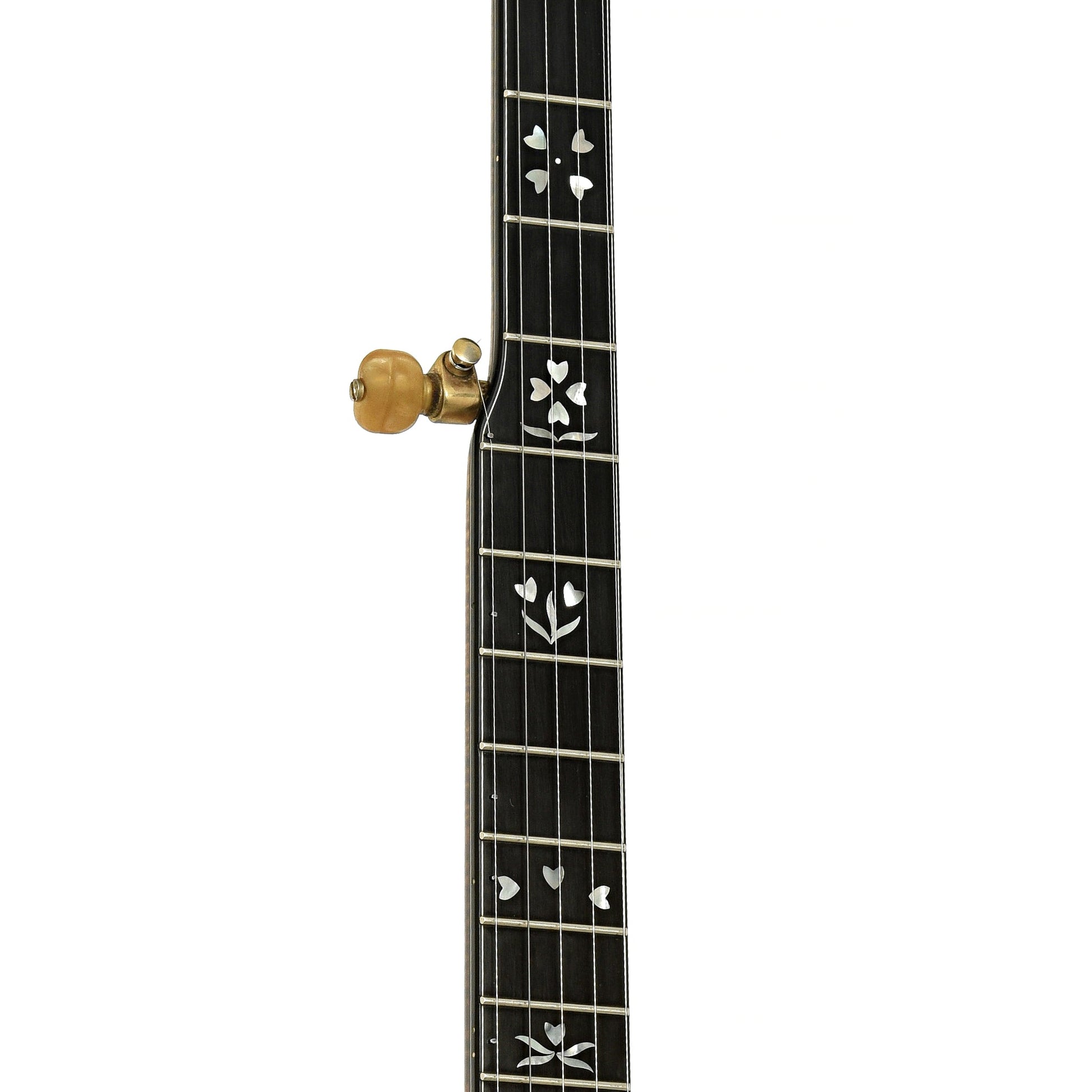 Stelling Sonny Osborne Sonflower Prototype Resonator Banjo (1979)