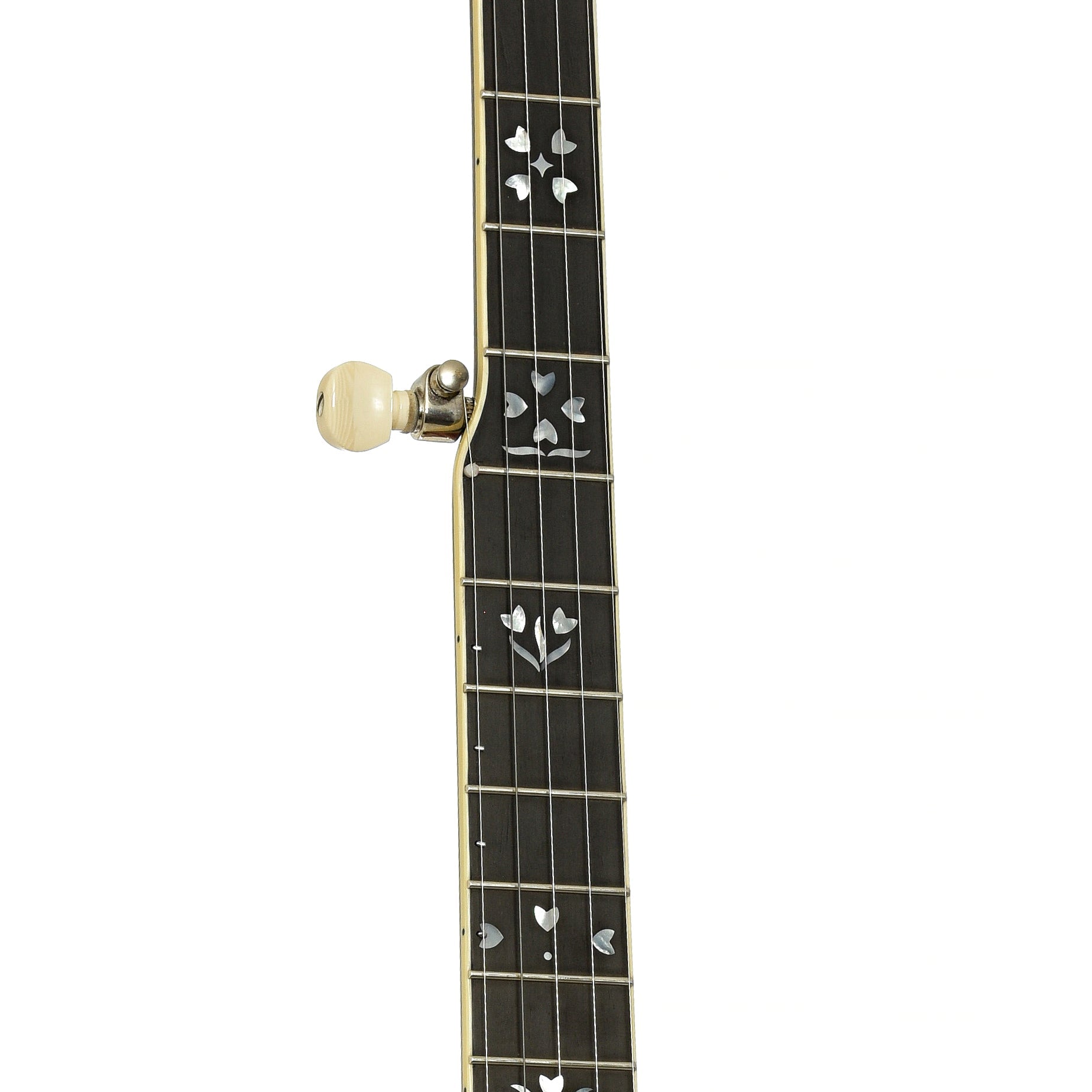 Stelling Sunflower Resonator Banjo (2012)