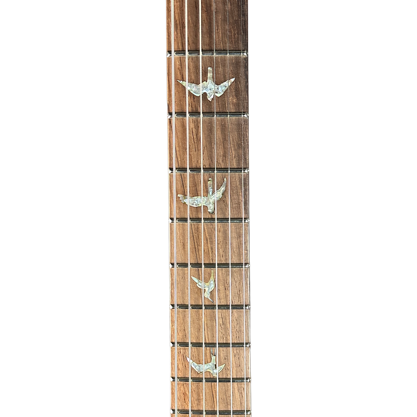 PRS Wood Library DGT Quilt 10 Top Yellow Tiger w/case 0408151