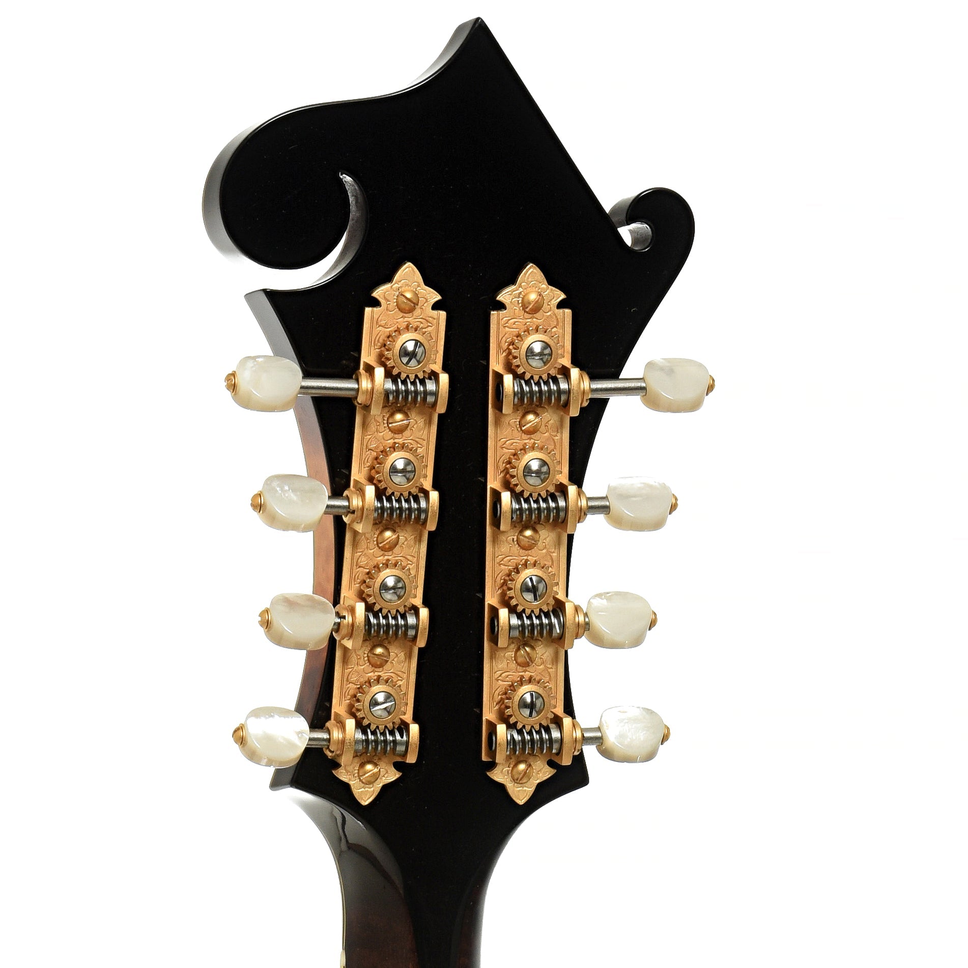 Ellis F-5 Special Mandolin (2018)
