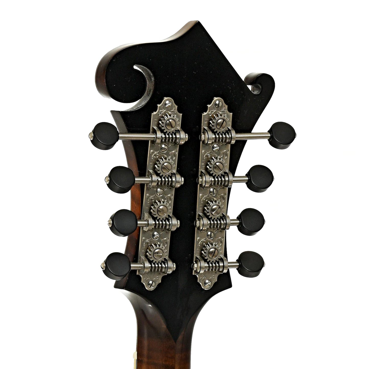 Northfield NFB-F5AWNltd Limited Edition Big Mon F-Style Mandolin & Case, Wide Nut
