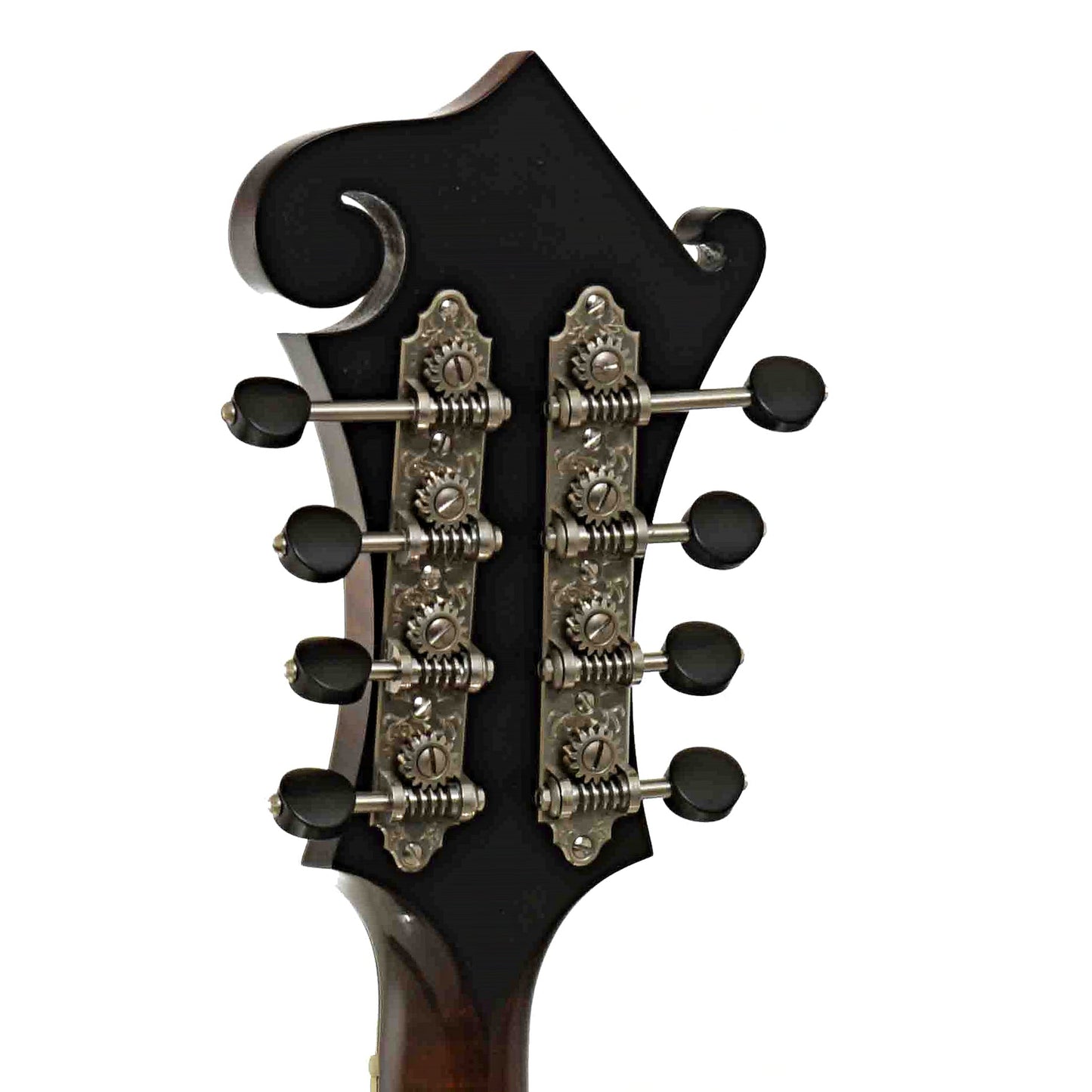 Northfield NFB-F5E Limited Edition Big Mon F-Style Mandolin & Case, Engelmann Top