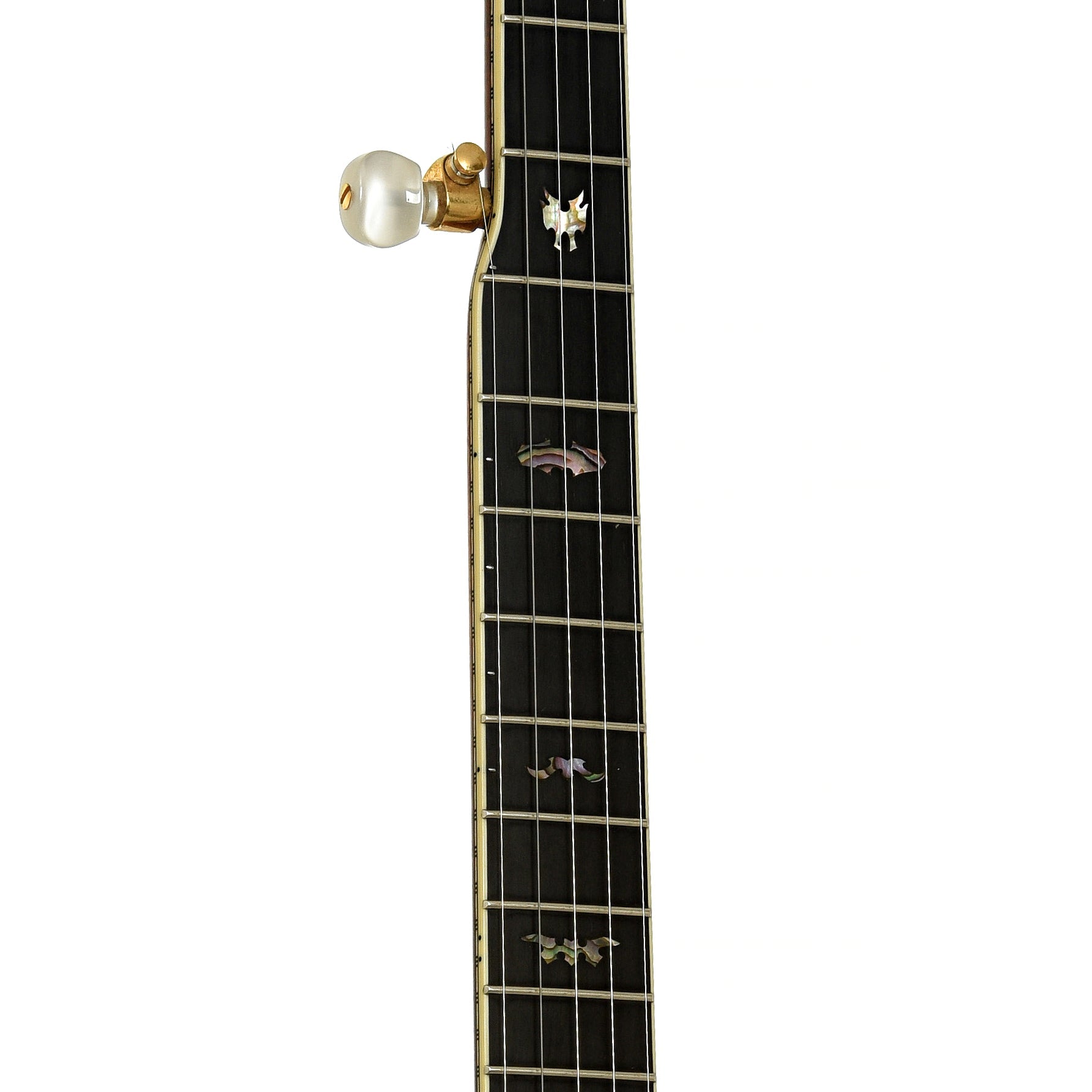Prucha Bat Custom Resonator Banjo (1999)
