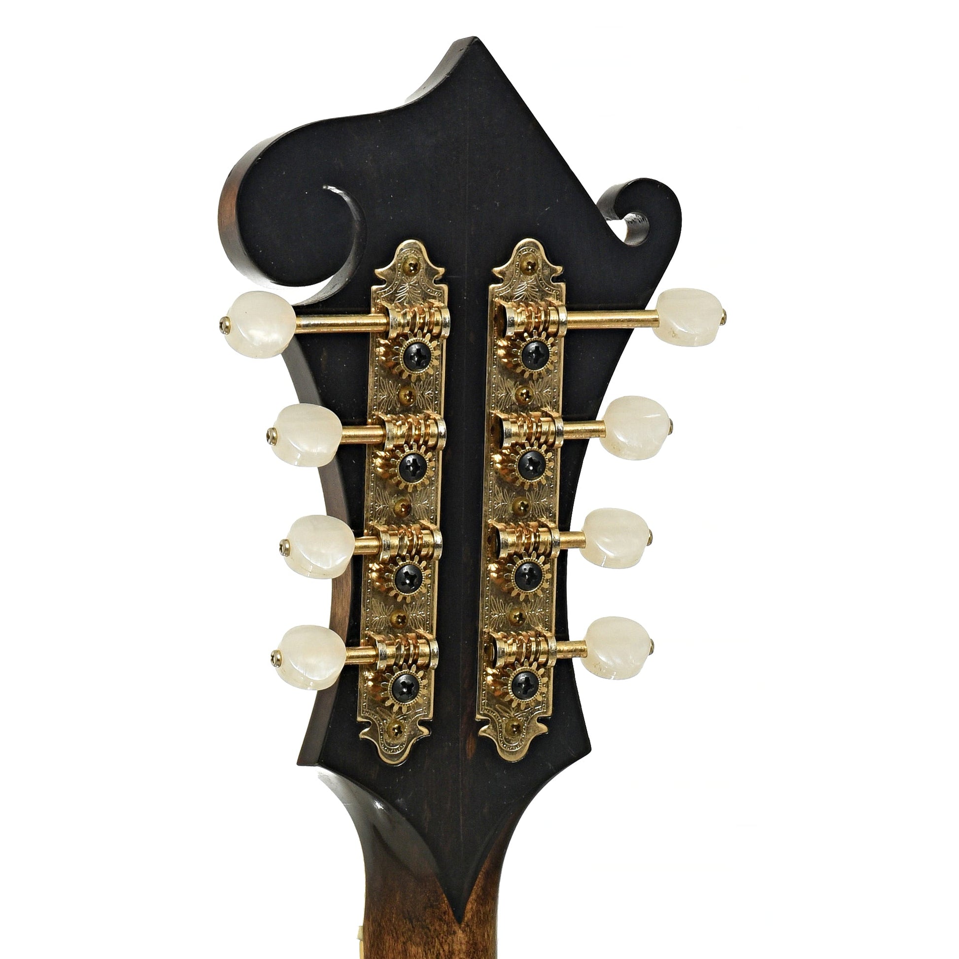Newson F-5 Fern Mandolin (1982)