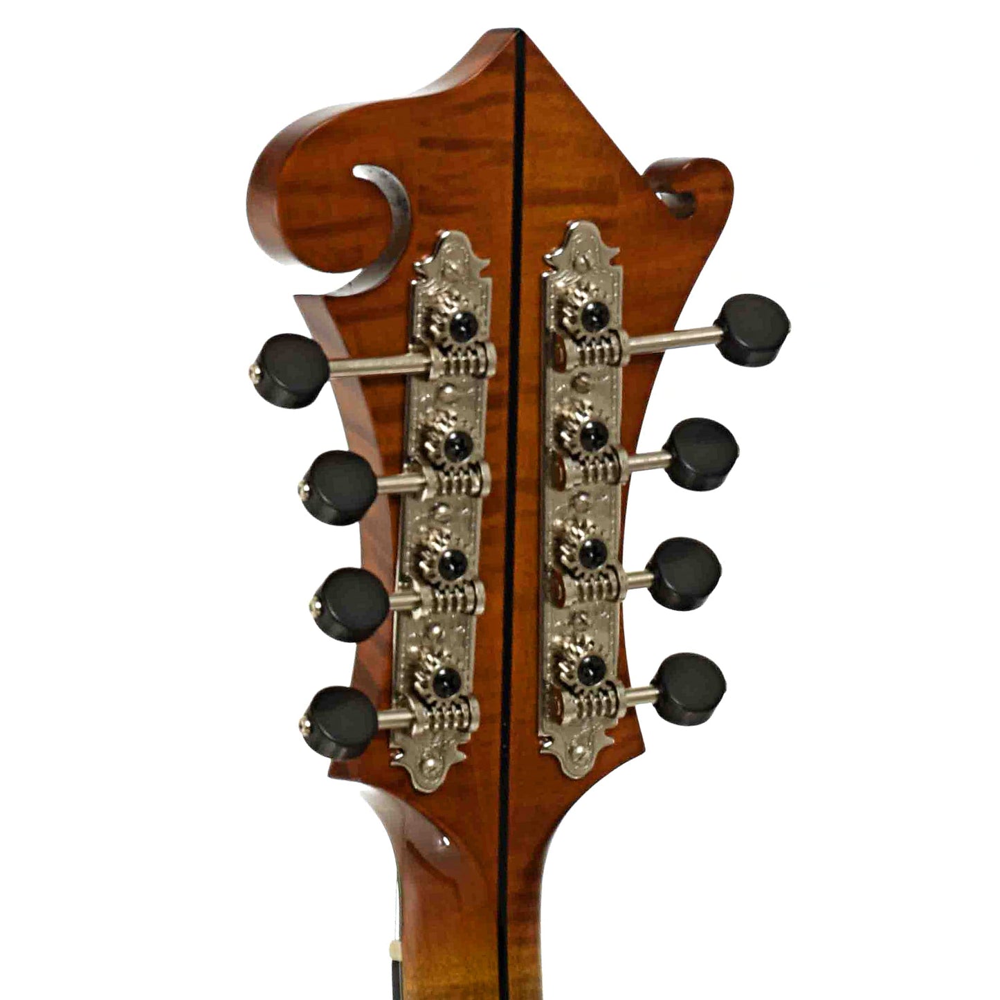 Northfield Artist Series Limited Edition F-Style Mandolin & Case, Italian Spruce