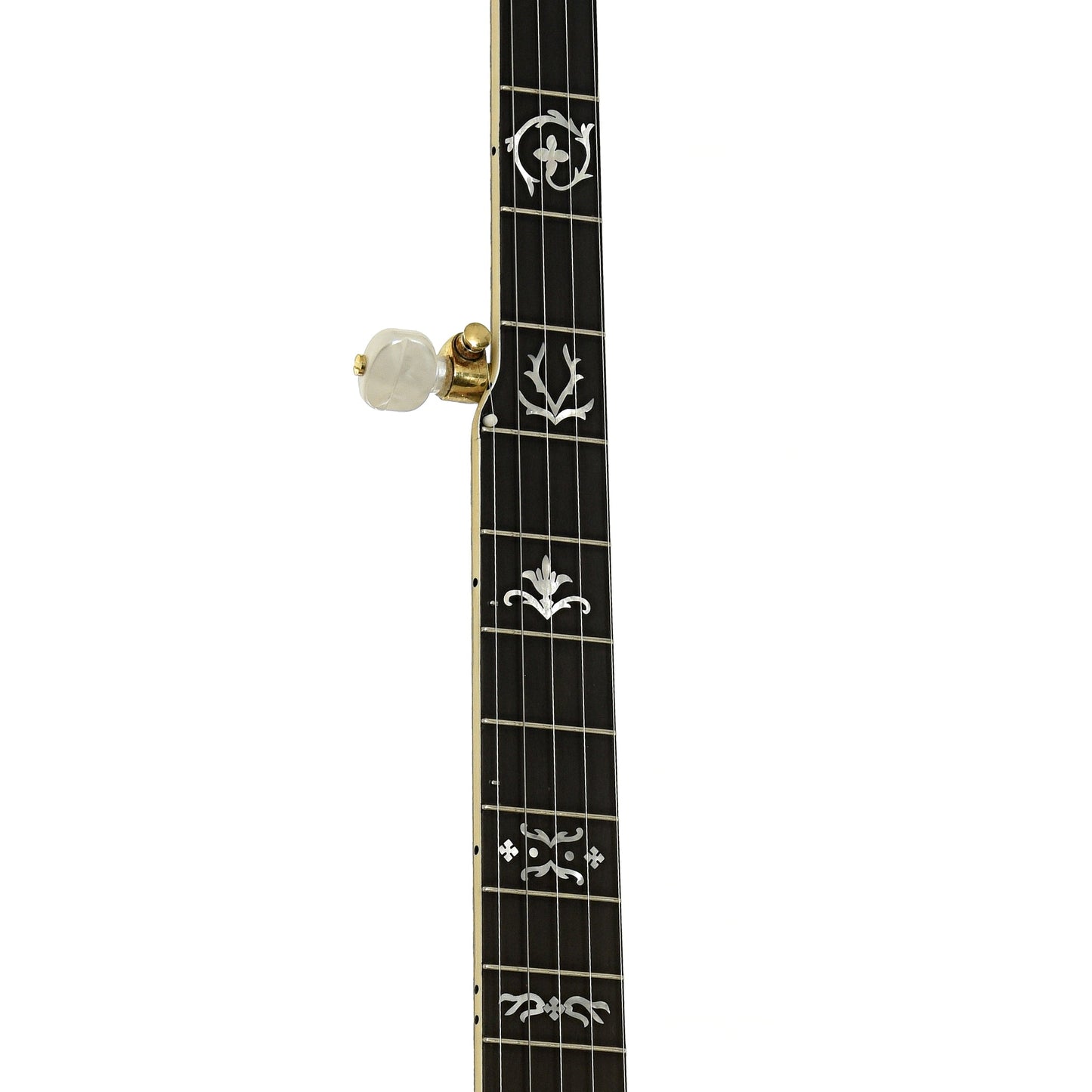 Frank Neat Stanleytone Hills of Home Resonator Banjo (2006)