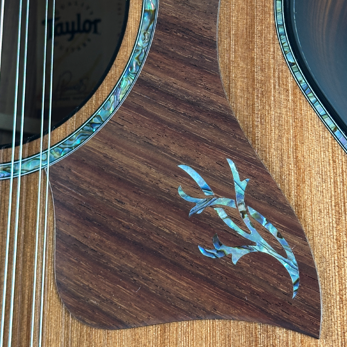 Taylor Presentation Series PS52ce 12-string Acoustic-electric