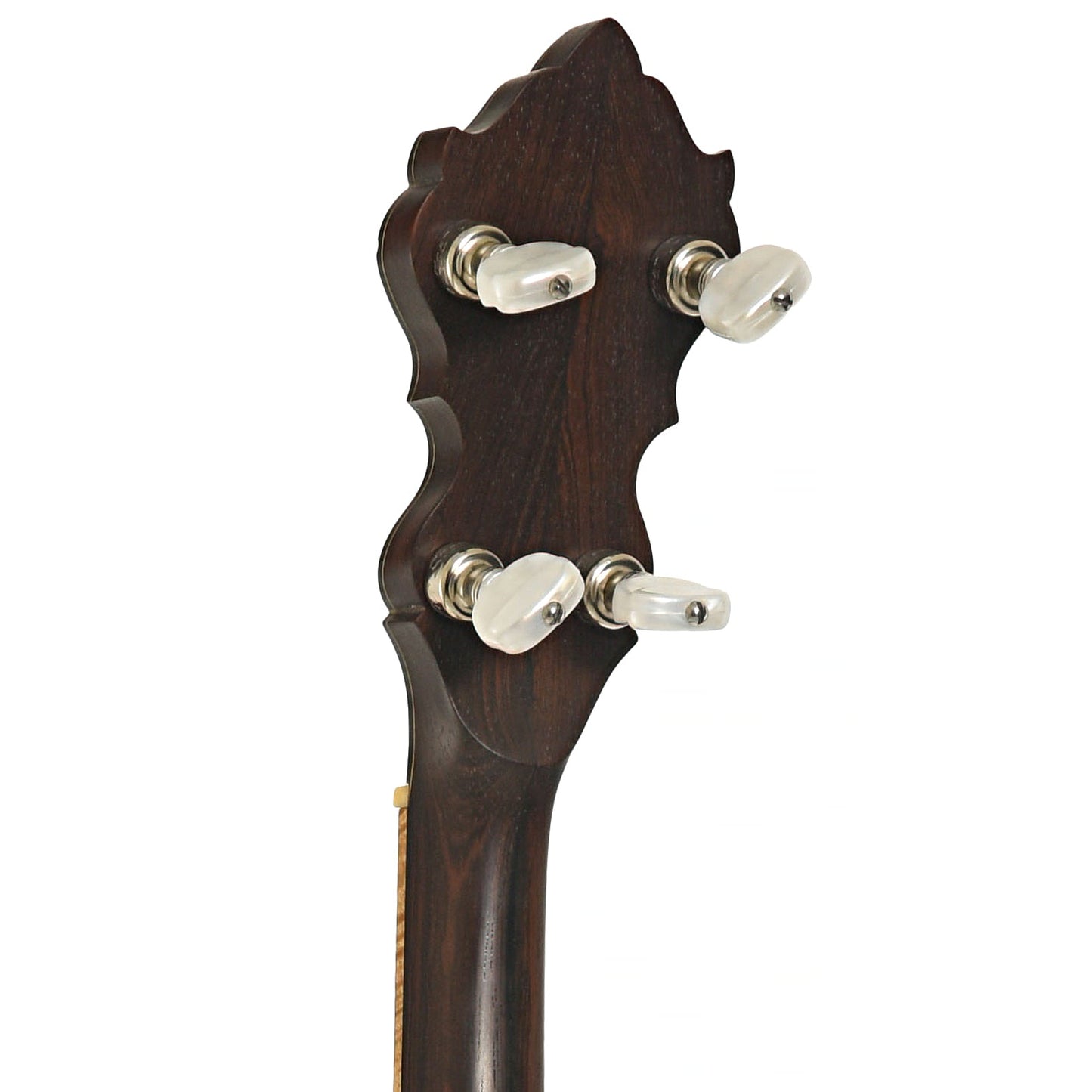 Wildwood Brazilian Custom Dragon Open Back Banjo (2004)
