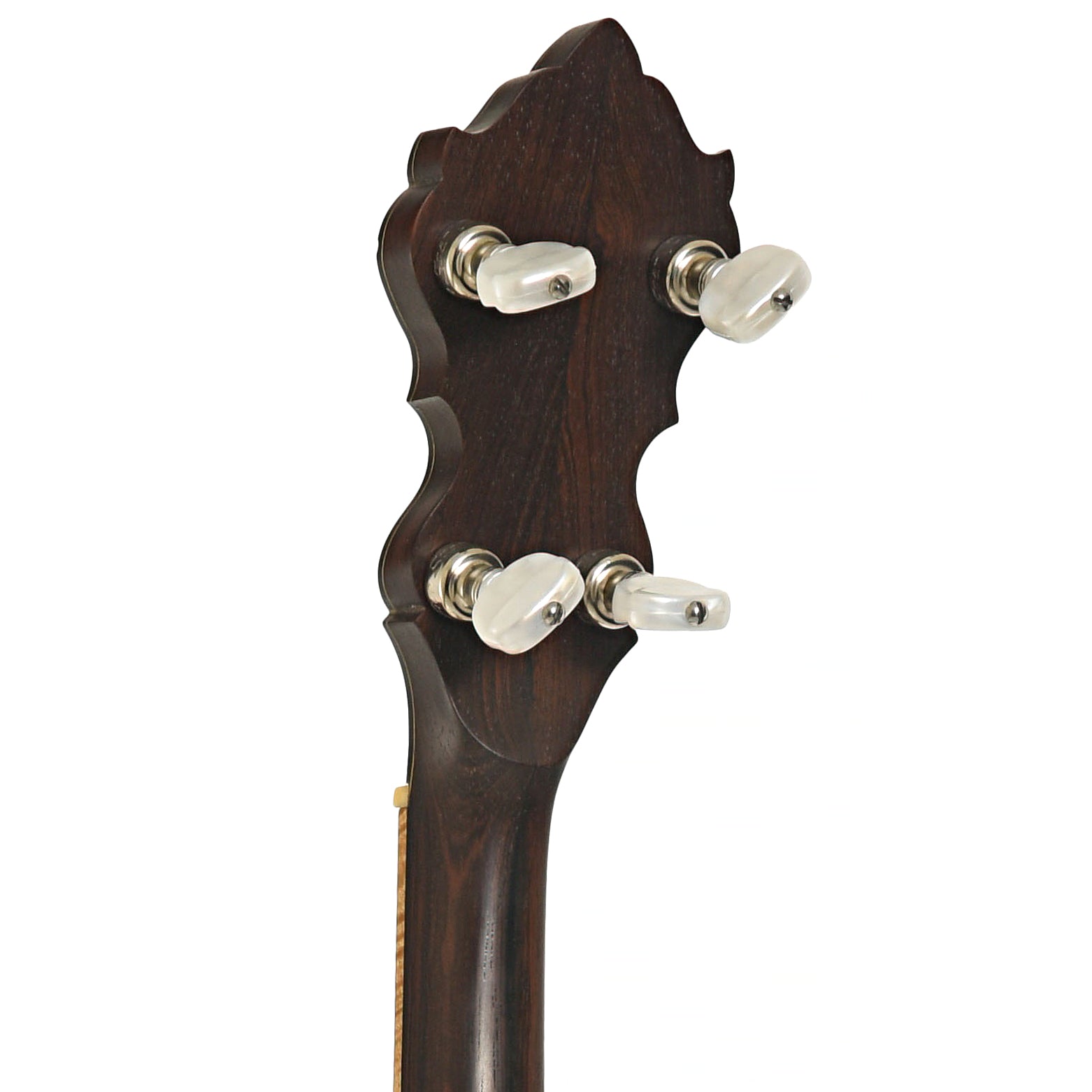 Wildwood Brazilian Custom Dragon Open Back Banjo (2004)