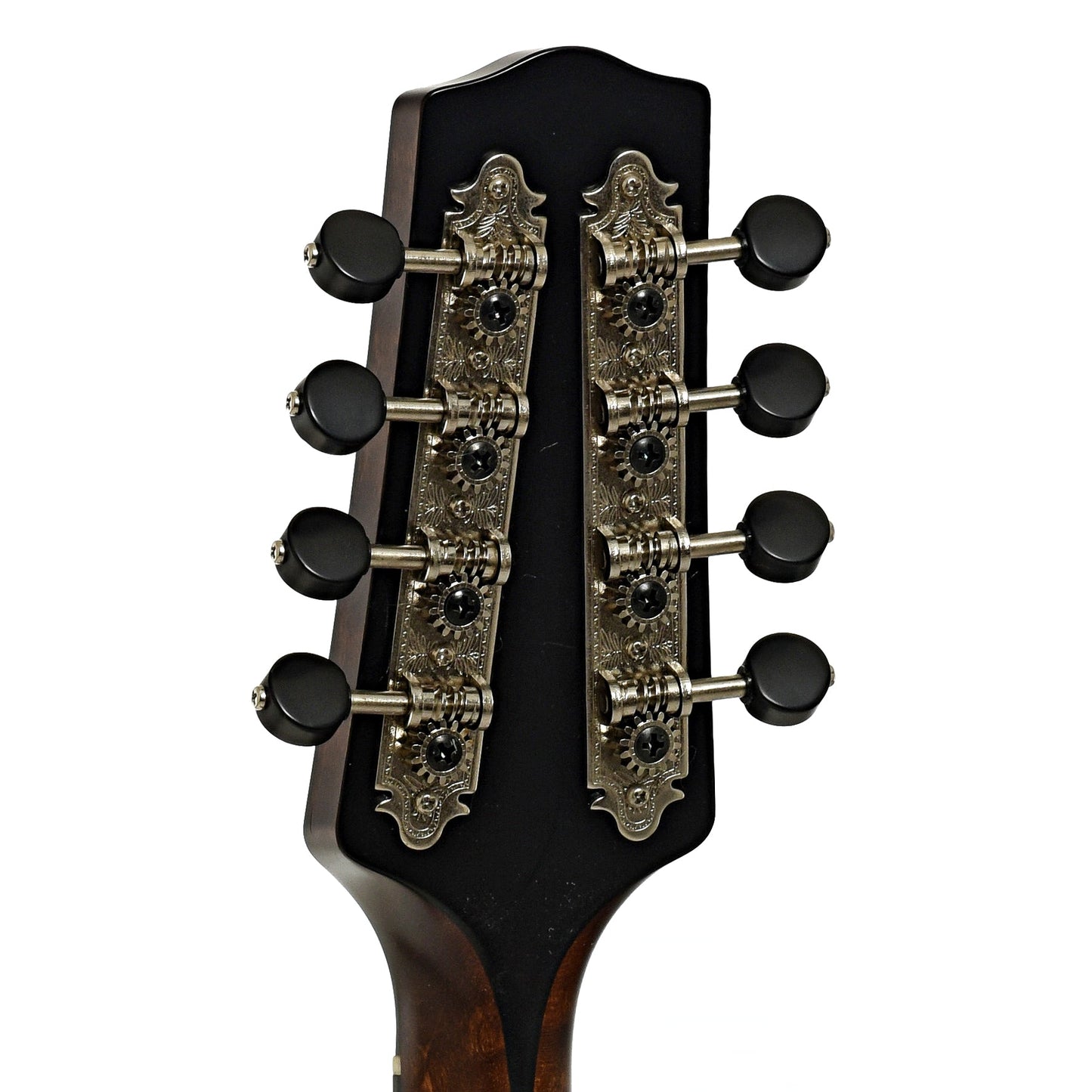 Pava A5 Satin Oval Hole Mandolin (2022)