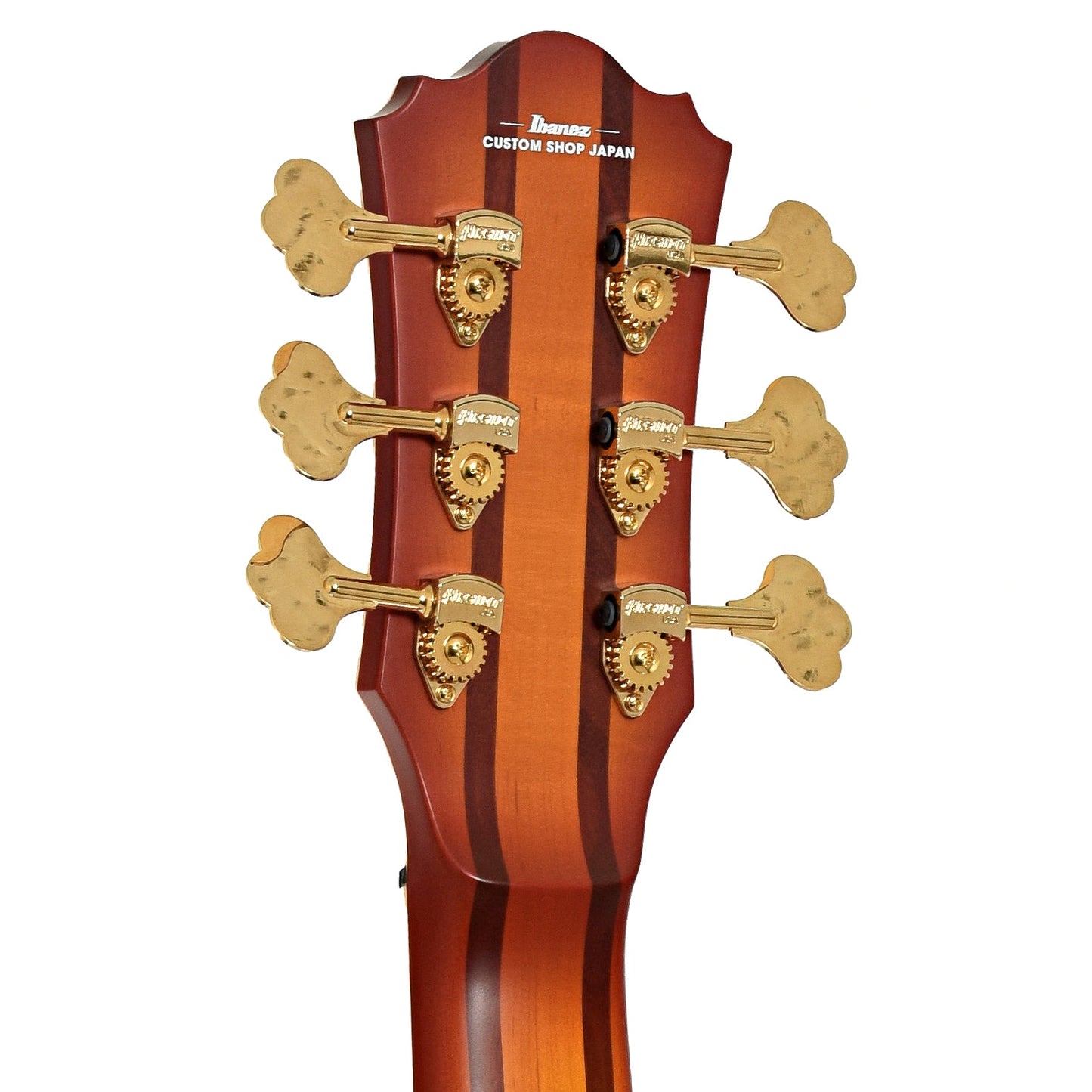 Ibanez TCB1006 Stephen "Thundercat" Bruner 6-String Hollowbody Electric Bass (2022)