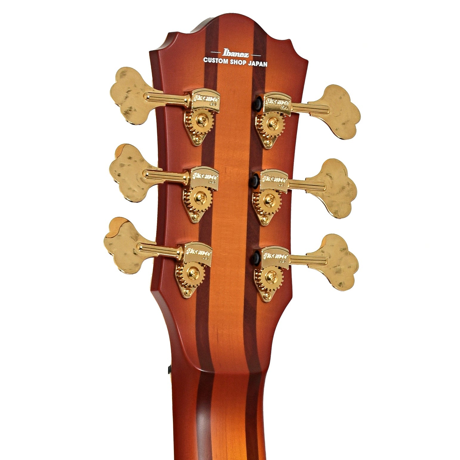 Ibanez TCB1006 Stephen "Thundercat" Bruner 6-String Hollowbody Electric Bass (2022)