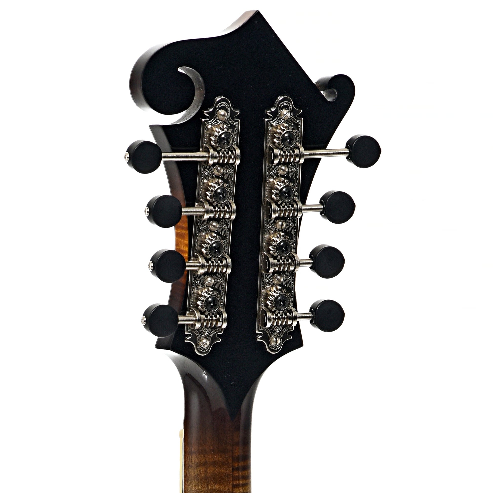 Northfield NFB-F5AWN Big Mon F-Style Mandolin & Case, Wide Nut