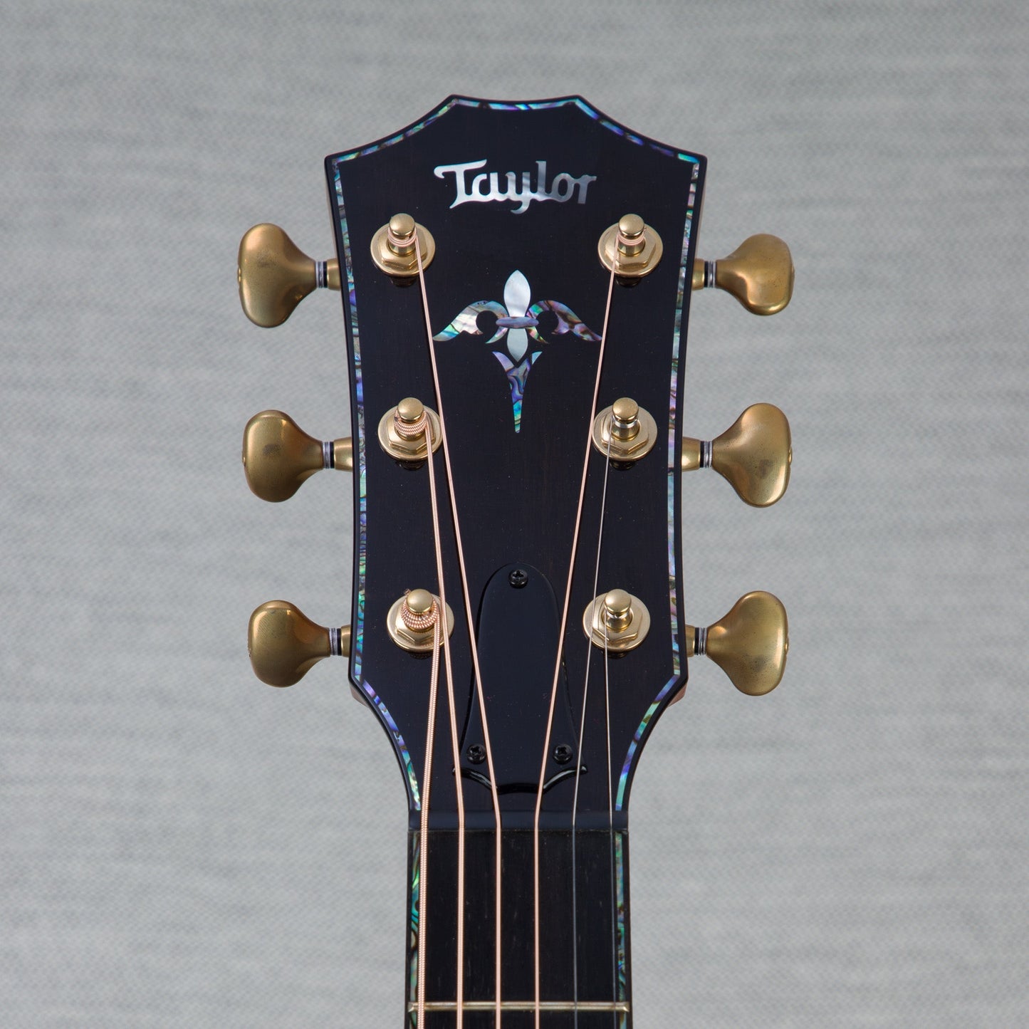 Taylor PS14ce Honduran Rosewood Acoustic Guitar