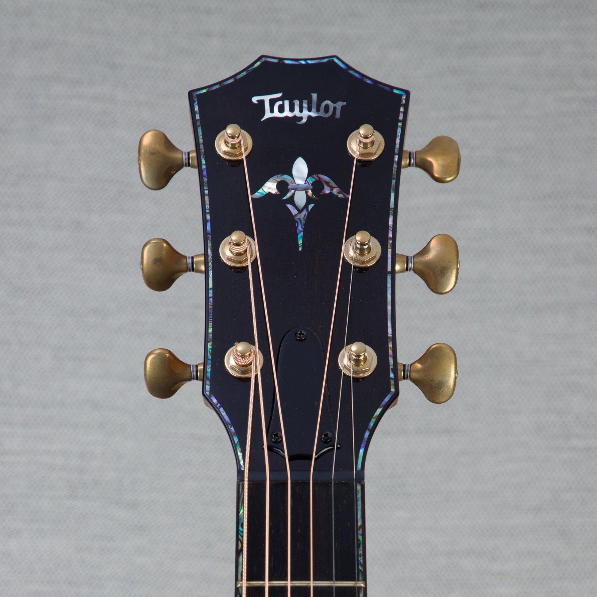 Taylor PS14ce Honduran Rosewood Acoustic Guitar