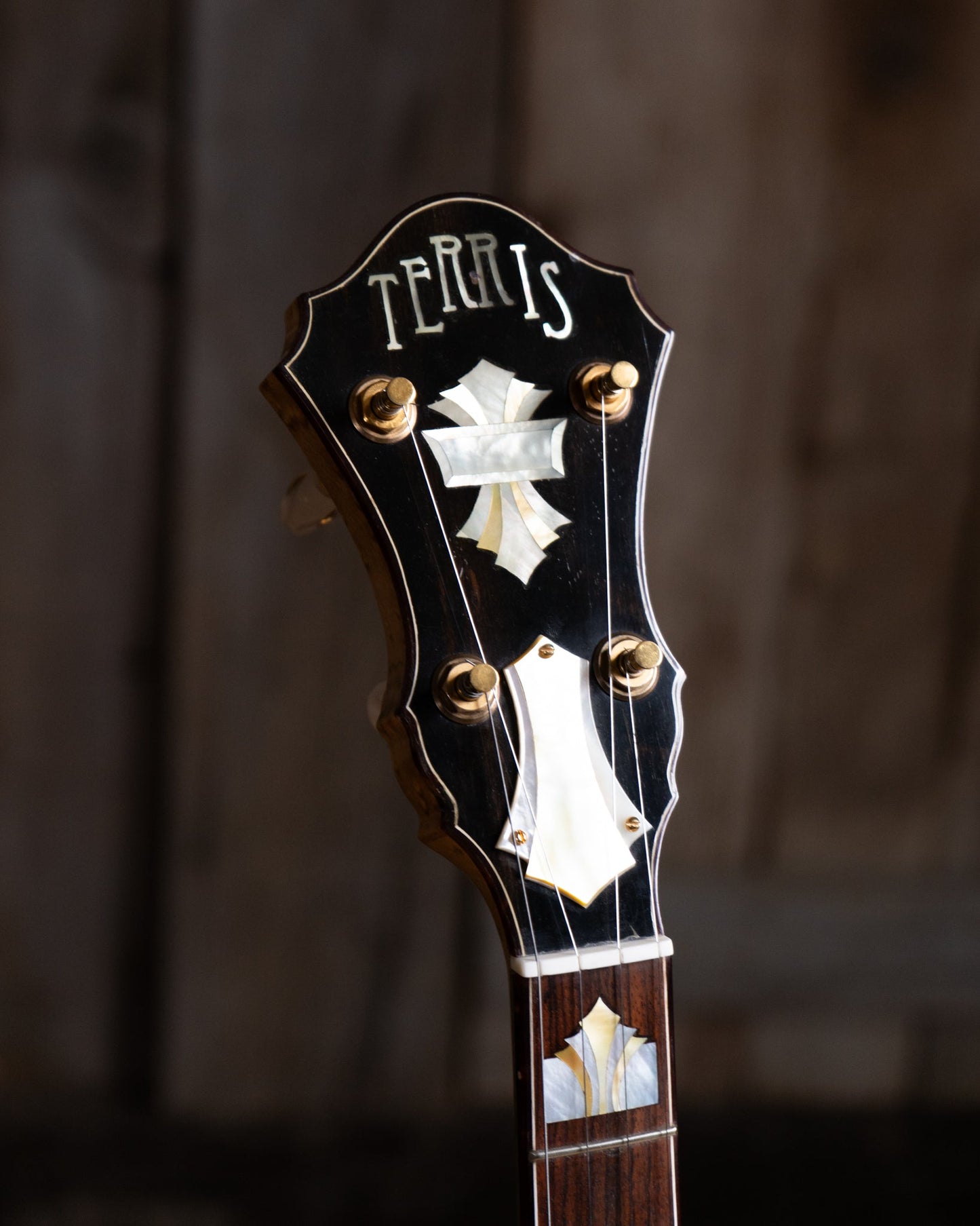 Michael Terris Art Deco Resonator Banjo (2010s)