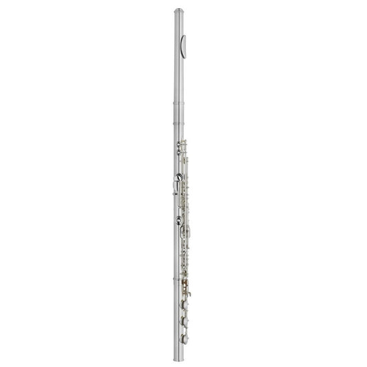 Haynes Amadeus AF780-BO C#