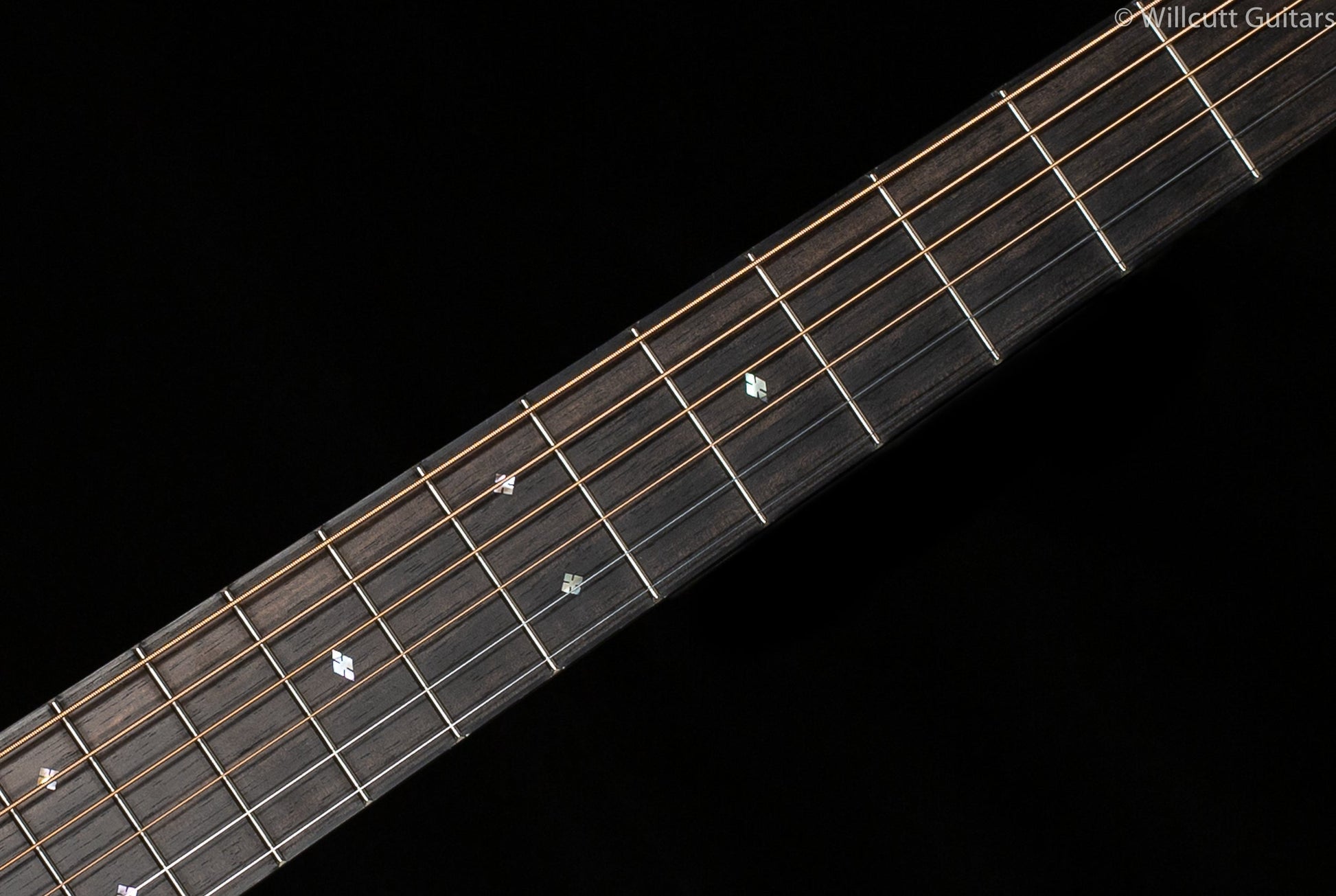 Santa Cruz D 12 Fret Model