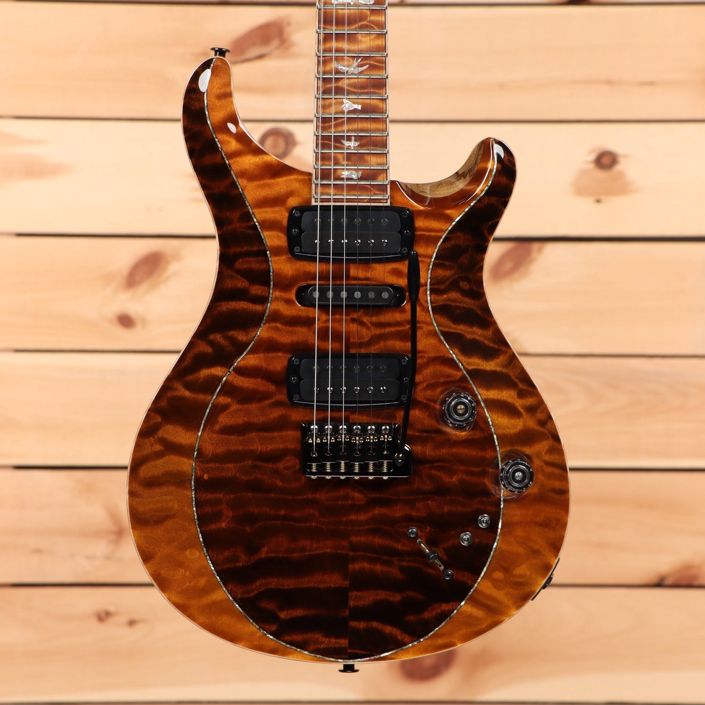 Paul Reed Smith Private Stock Modern Eagle V - Sandstorm Fade