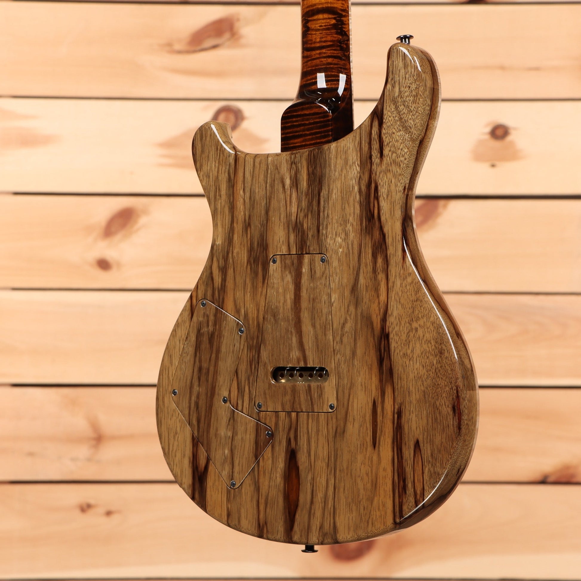 Paul Reed Smith Private Stock Modern Eagle V - Sandstorm Fade