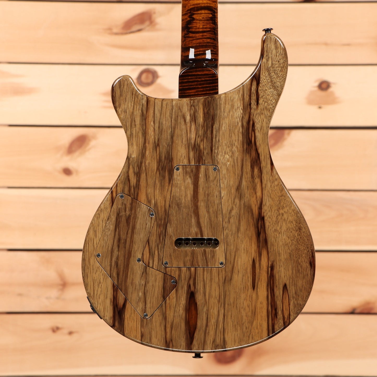 Paul Reed Smith Private Stock Modern Eagle V - Sandstorm Fade