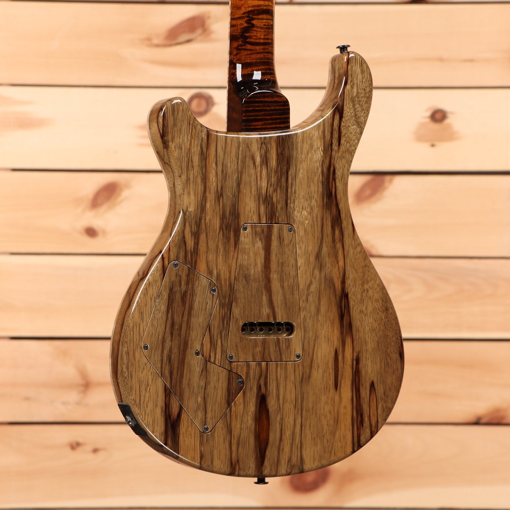 Paul Reed Smith Private Stock Modern Eagle V - Sandstorm Fade